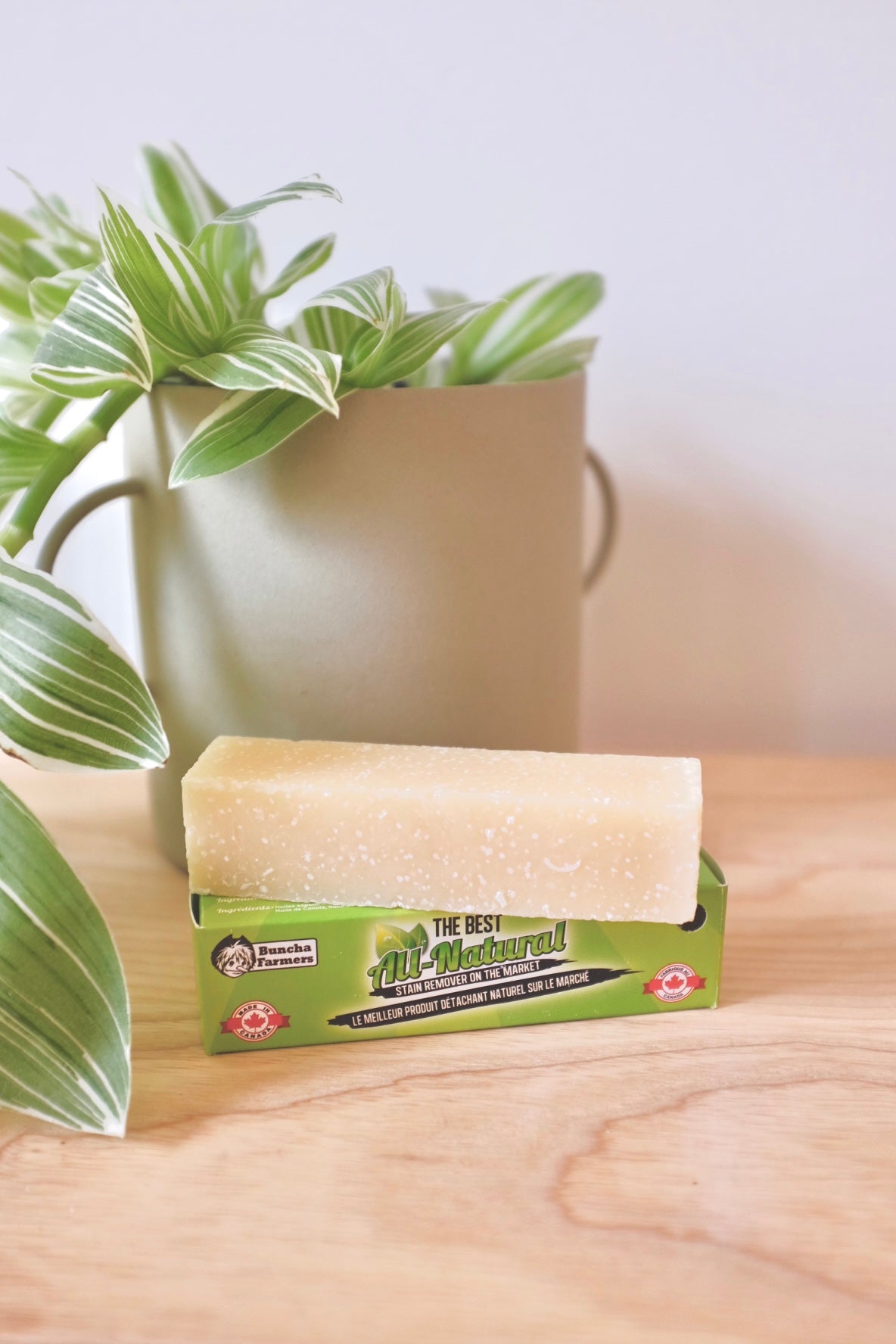 All Natural Stain Remover Stick
