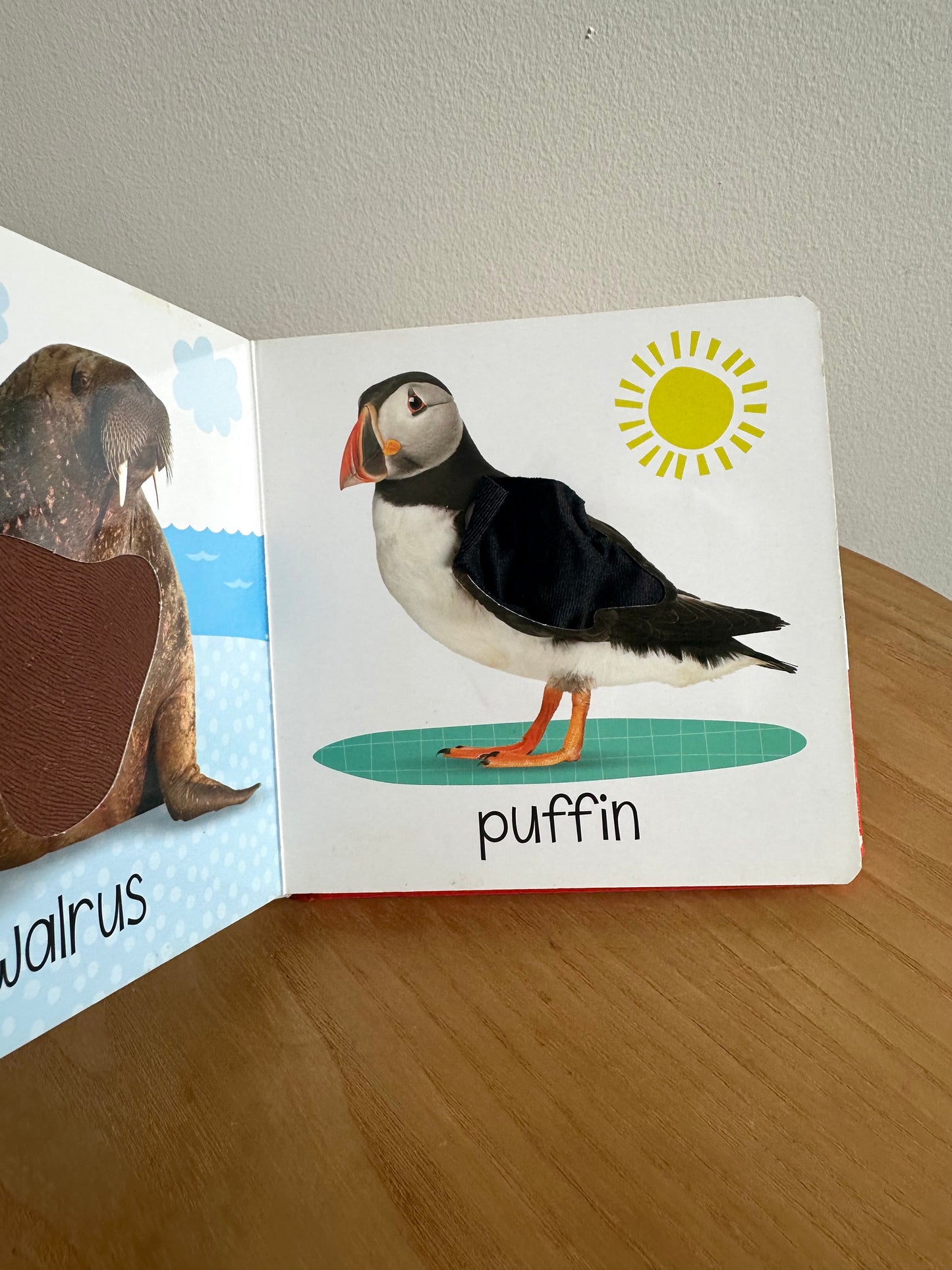 Canadian Animals Book / 0-2 years
