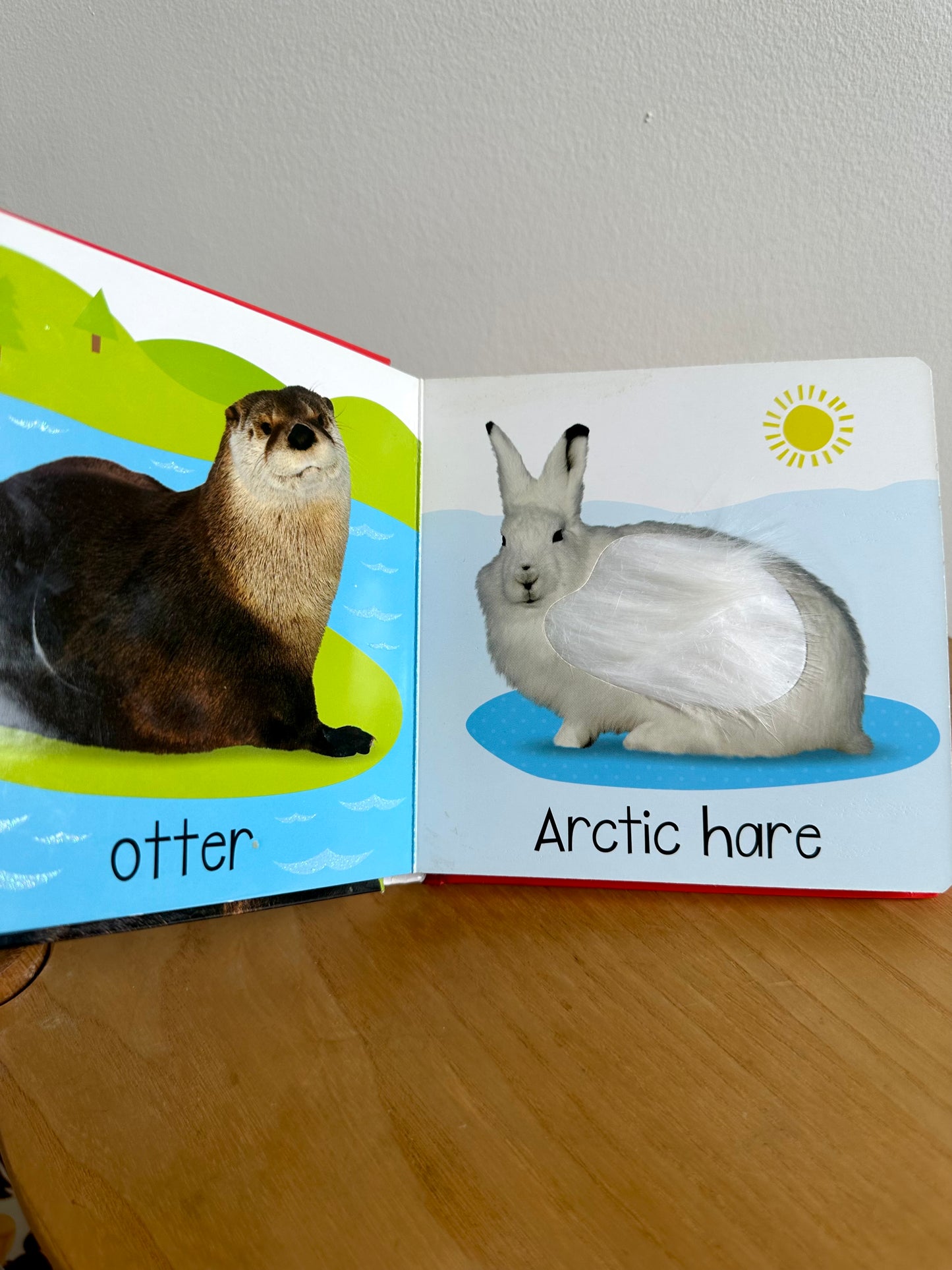 Canadian Animals Book / 0-2 years