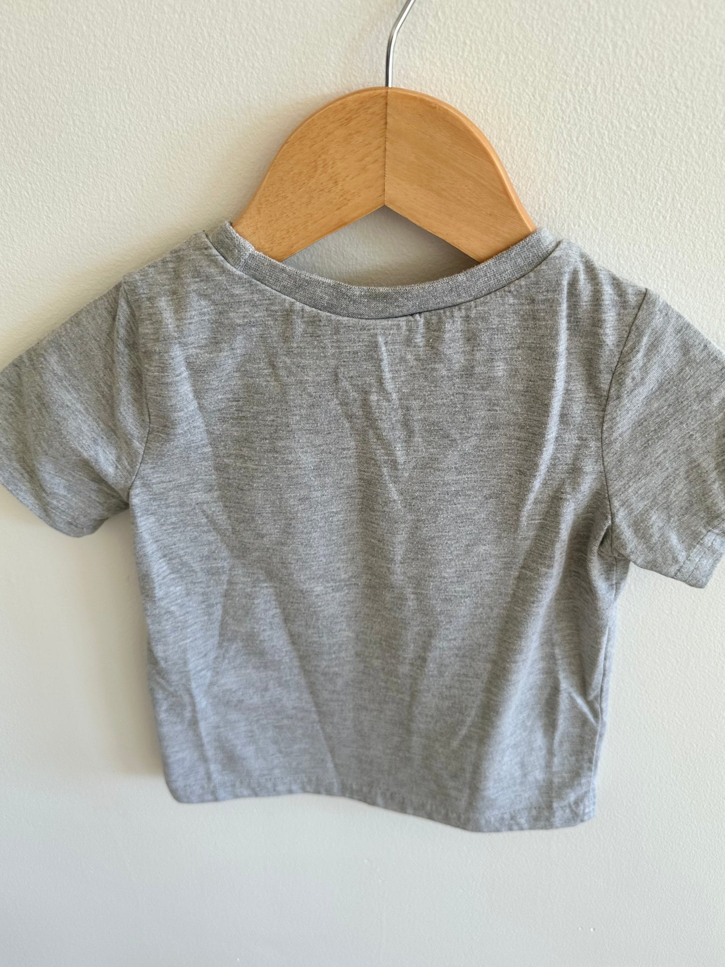 Puma Grey Top / 2T