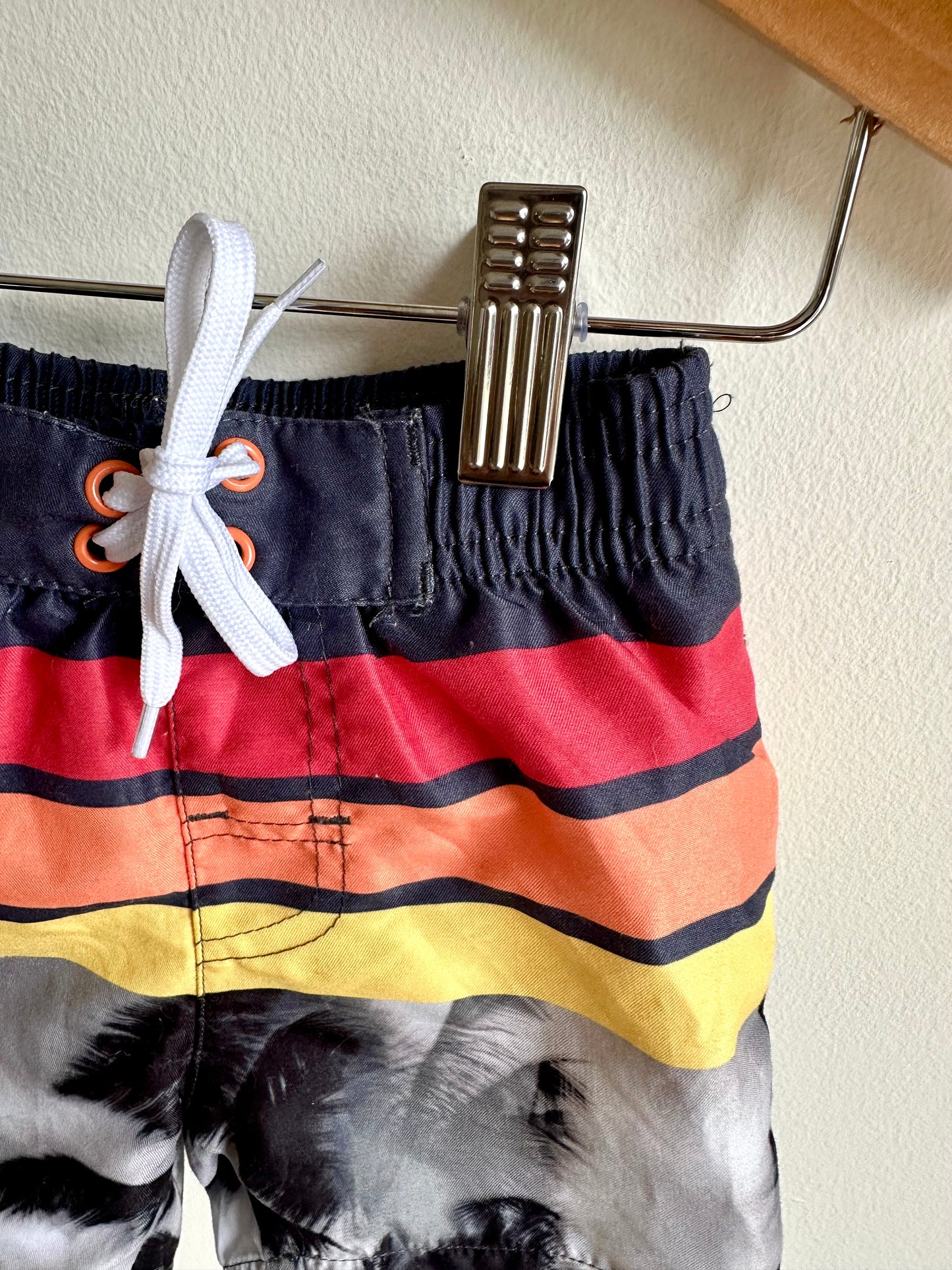 Striped Swim Shorts / 9m