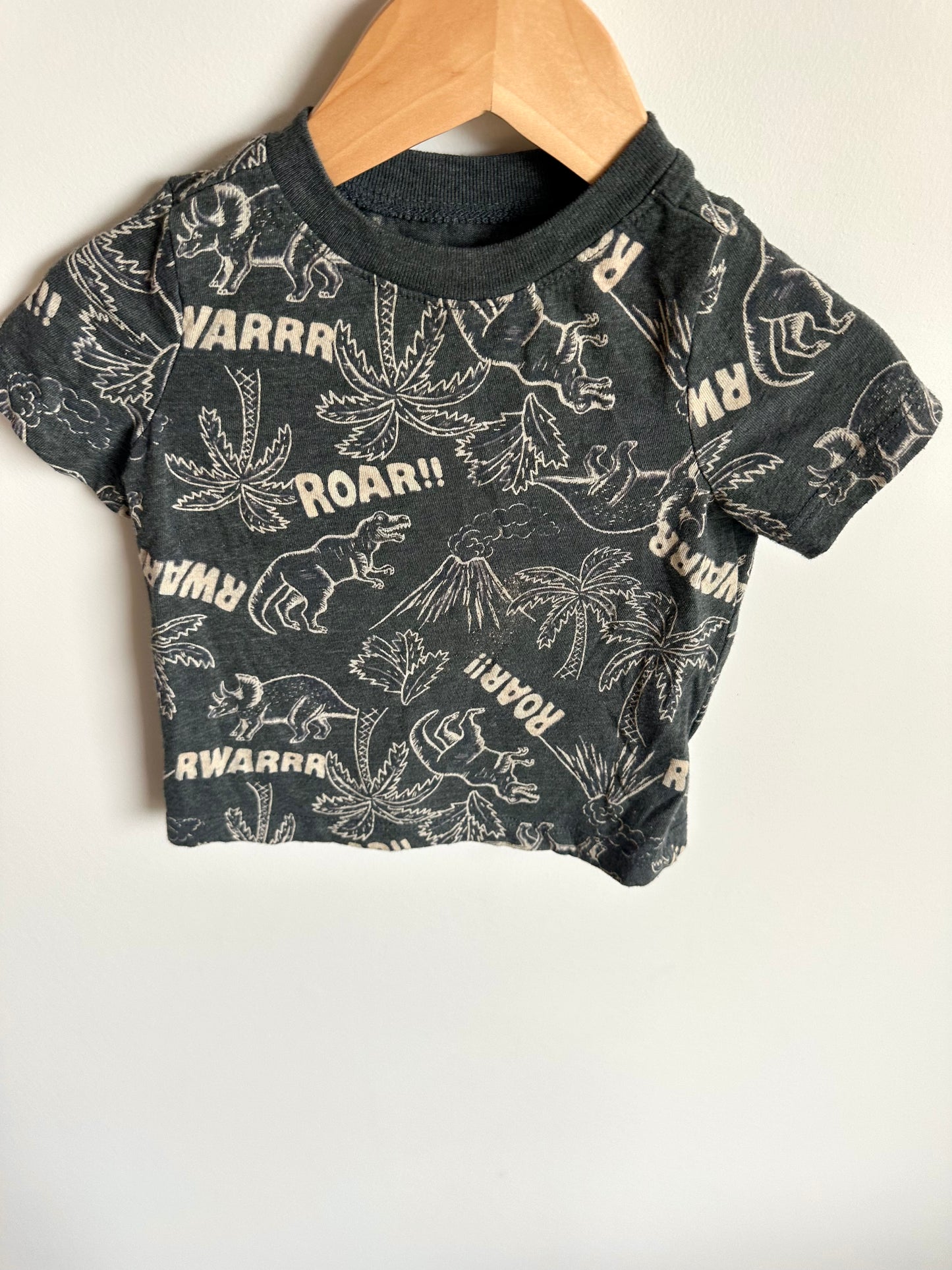 Dino Roar T-shirt / 12-18m