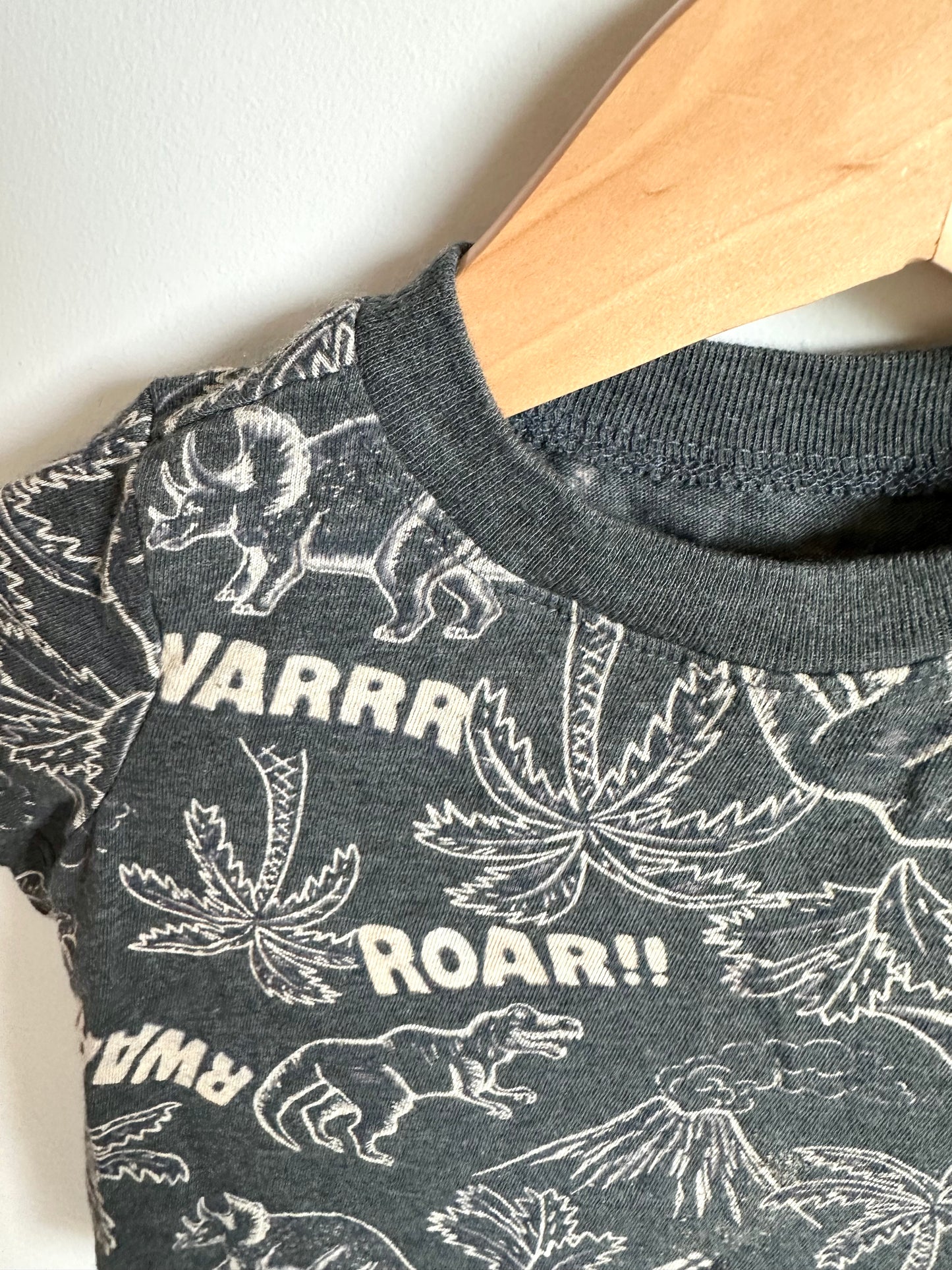 Dino Roar T-shirt / 12-18m