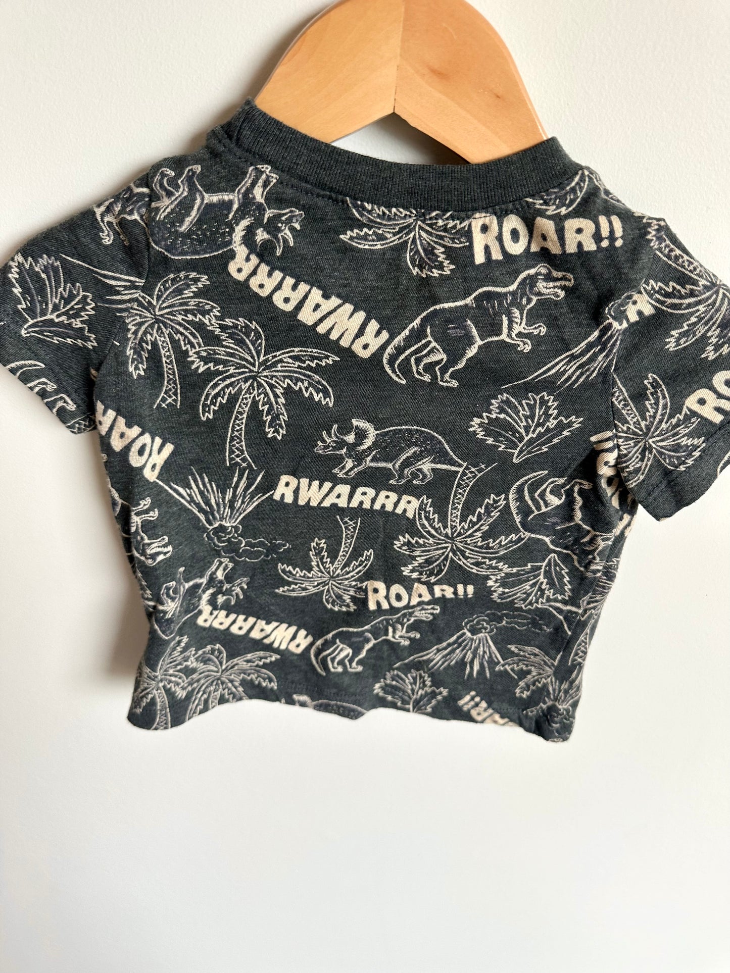 Dino Roar T-shirt / 12-18m