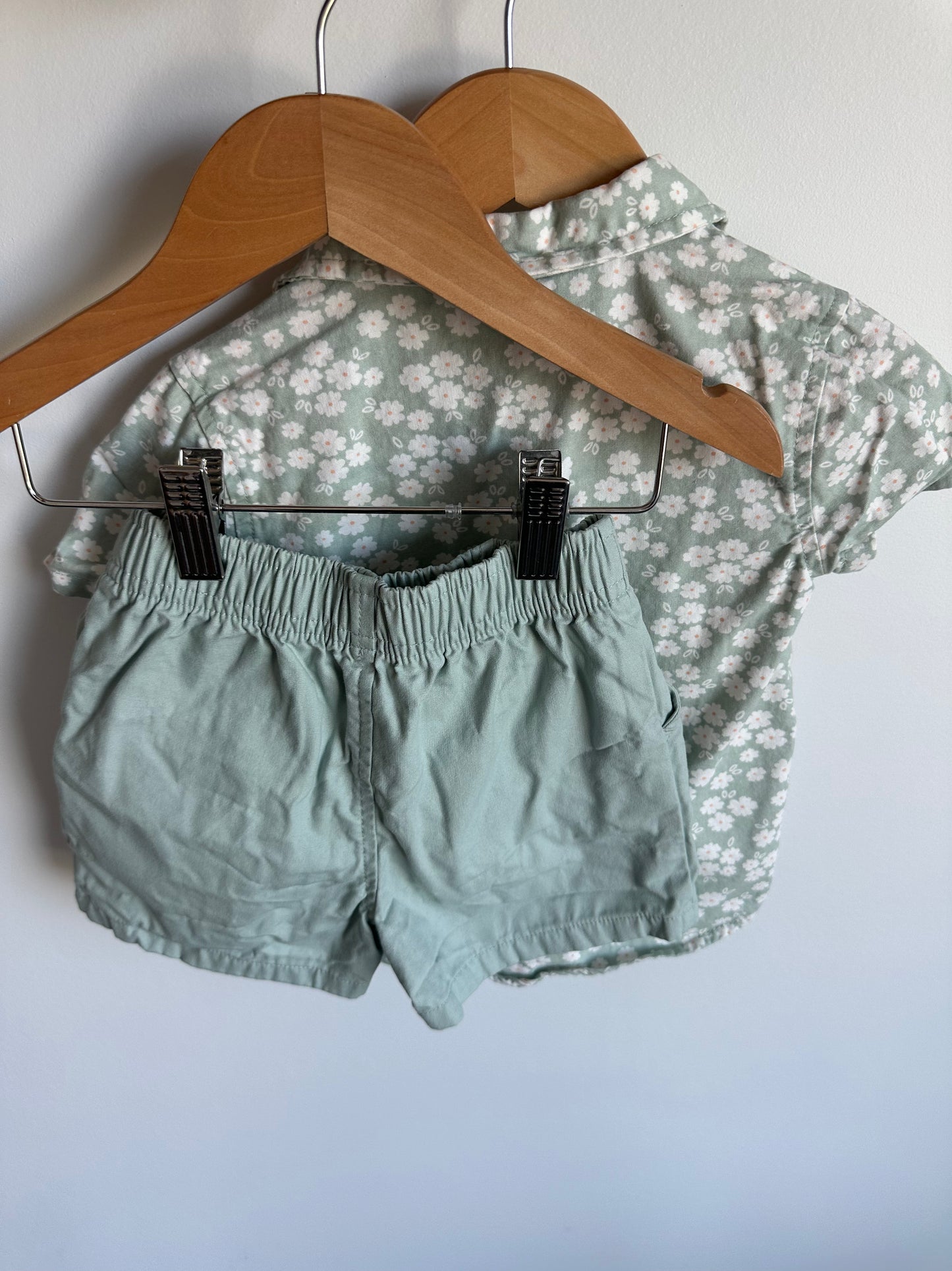 Daisy Sage Top + Shorts Set / 2T