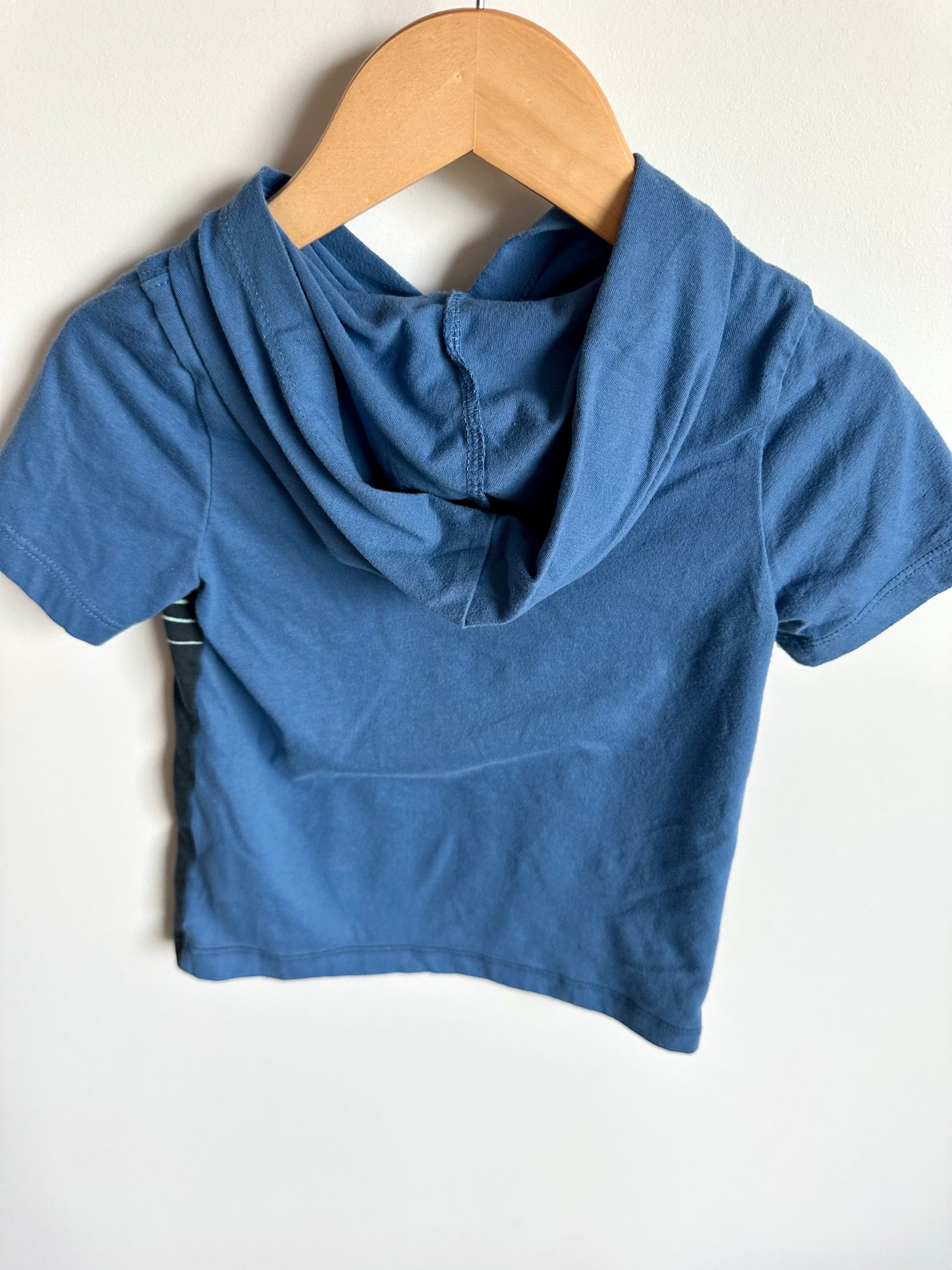 Blue Hood Striped Shirt / 3T