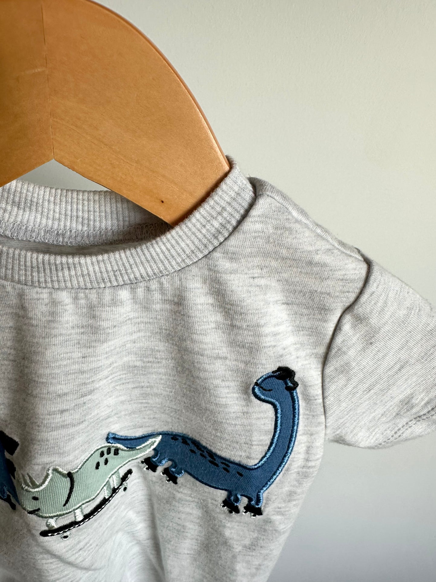 Dino Rides T-Shirt / 12m