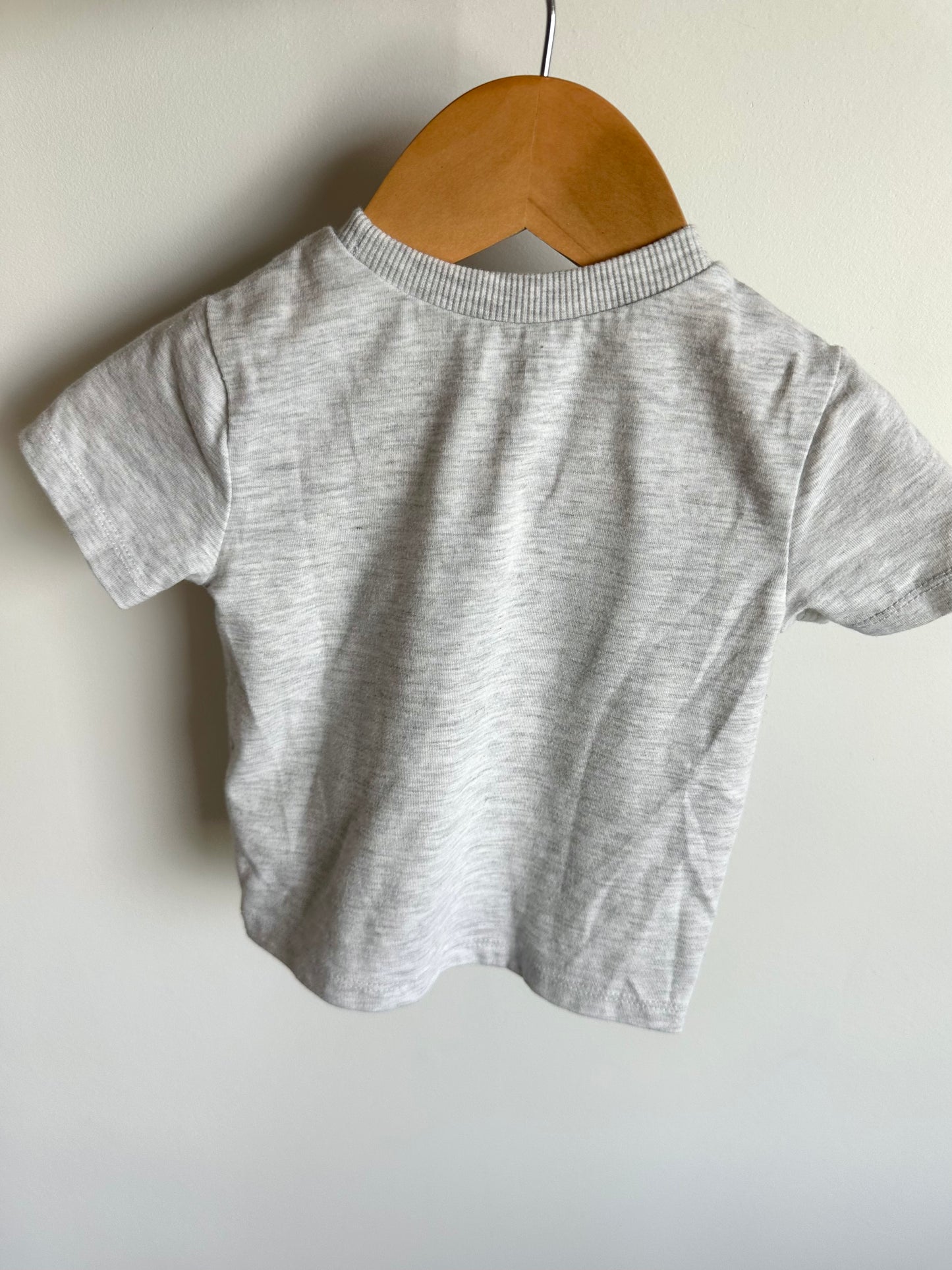 Dino Rides T-Shirt / 12m