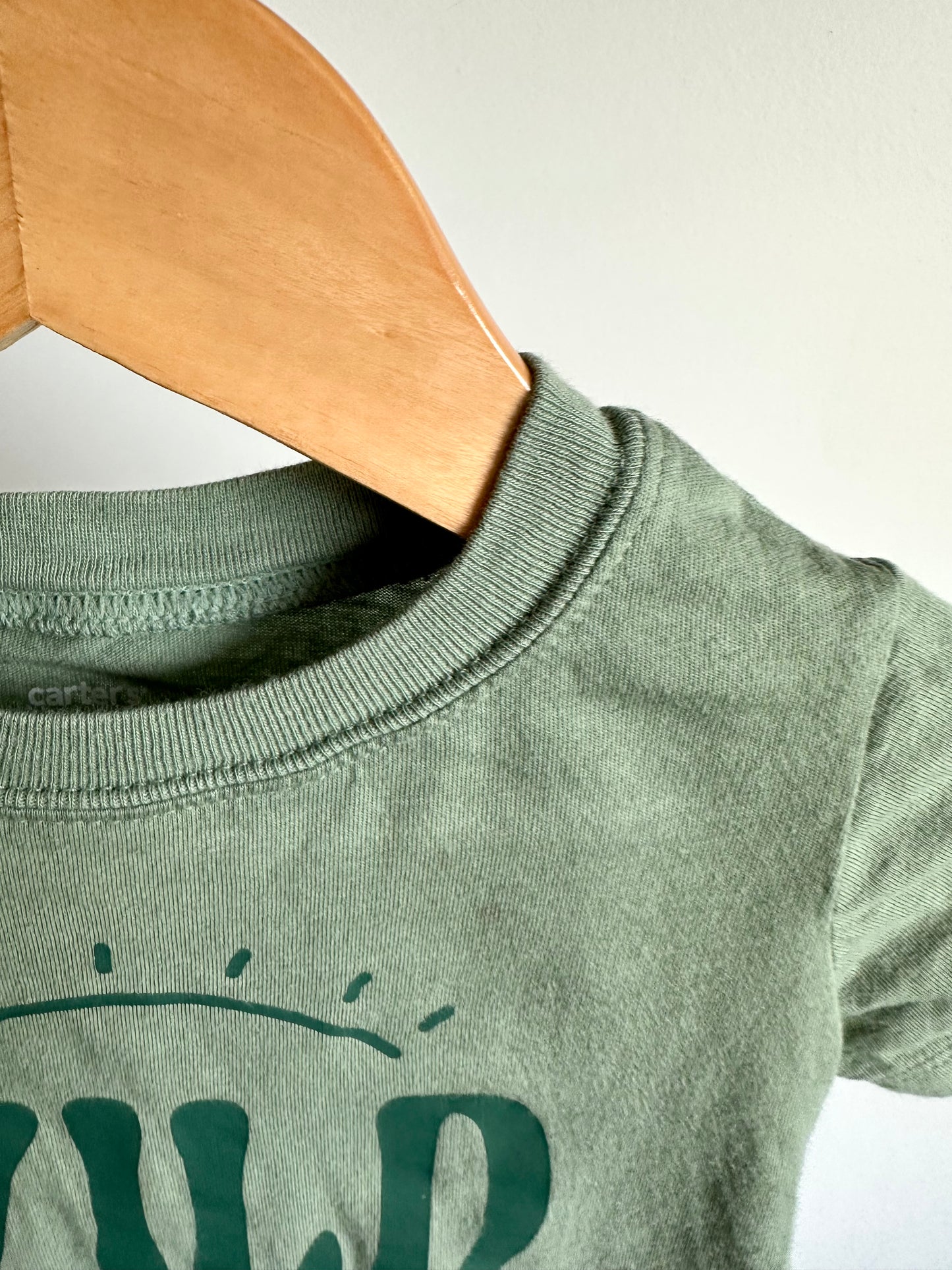 Wild And Free T-Shirt / 18m