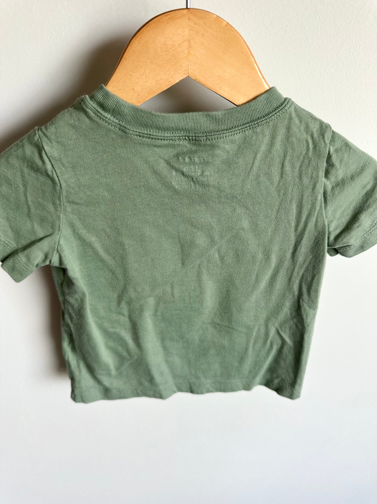 Wild And Free T-Shirt / 18m