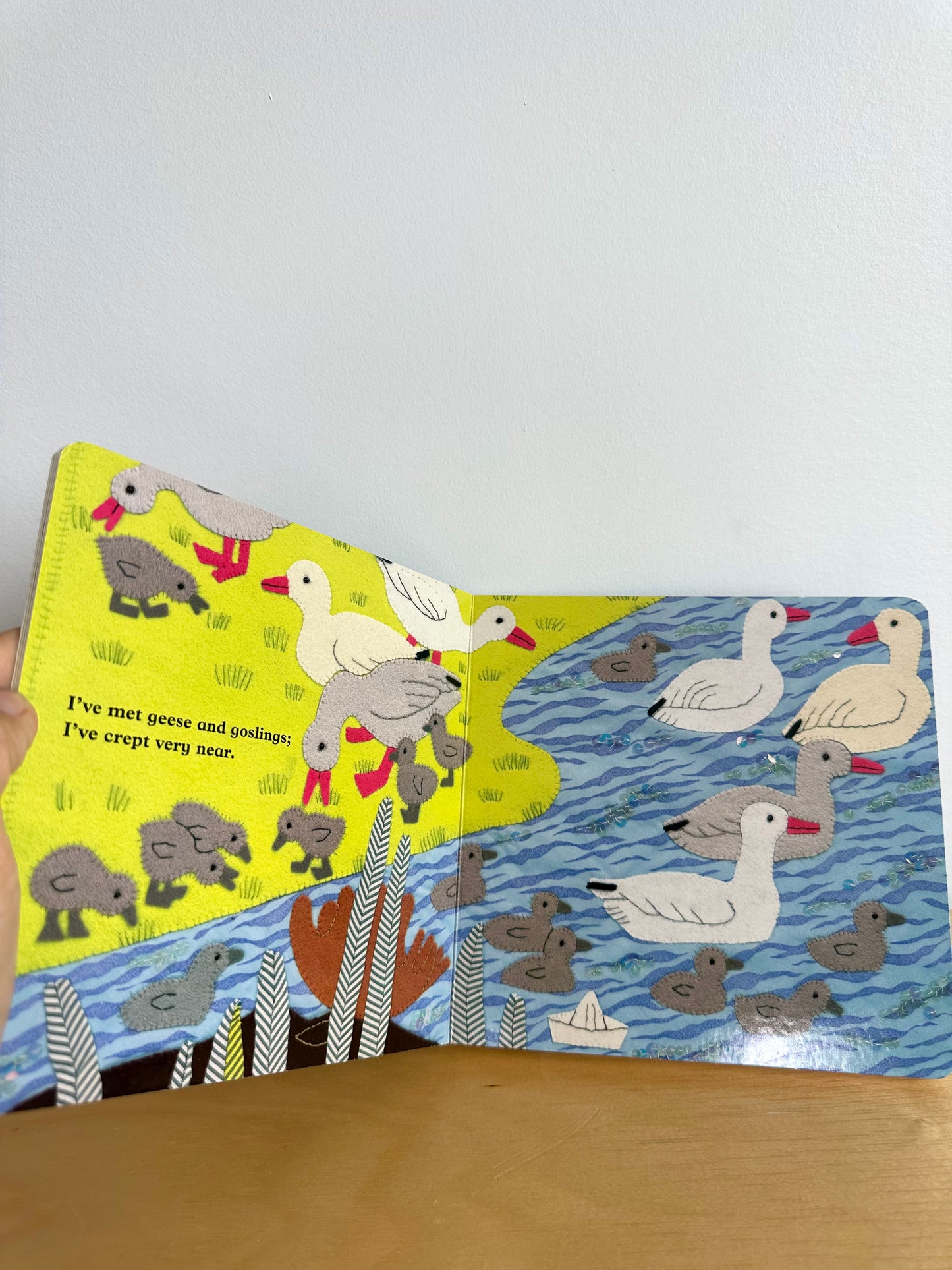 Elusive Moose Book / 2-5 years