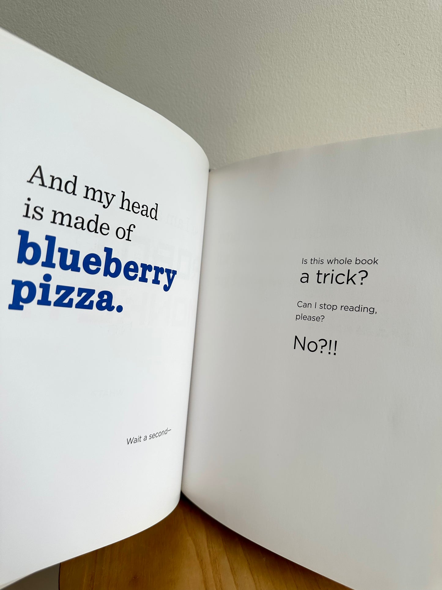 The Book With No Pictures Book / 3-7 years (No Shipping)