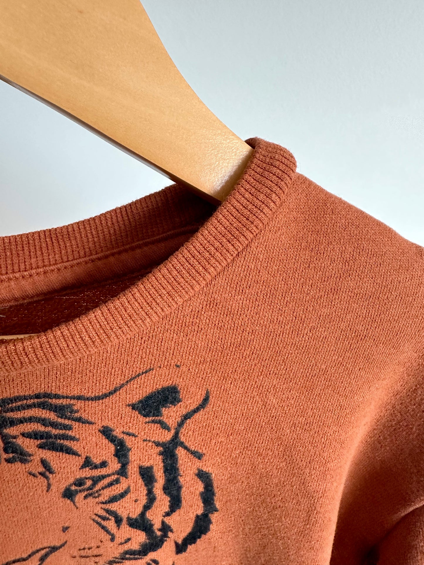 Tiger Rust Sweater / 3-4T?
