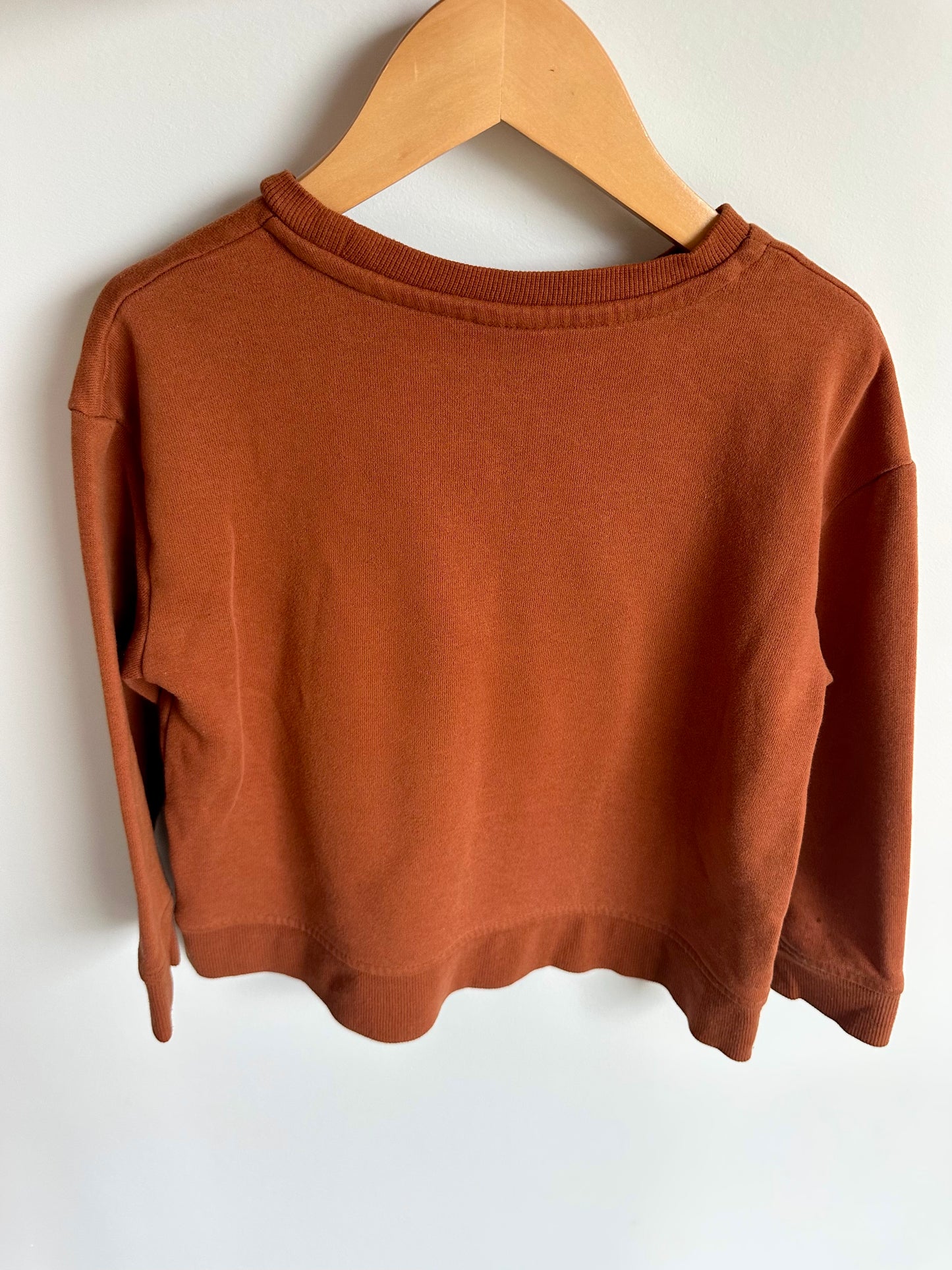 Tiger Rust Sweater / 3-4T?