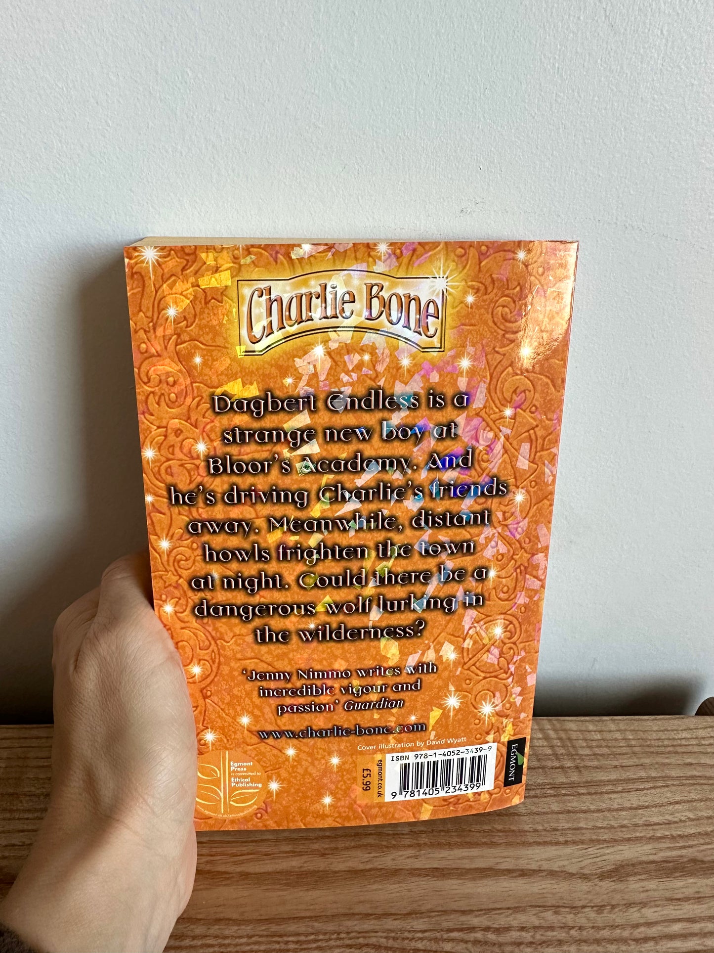 Charlie Bone and The Wilderness Wolf Book / 9-12 years