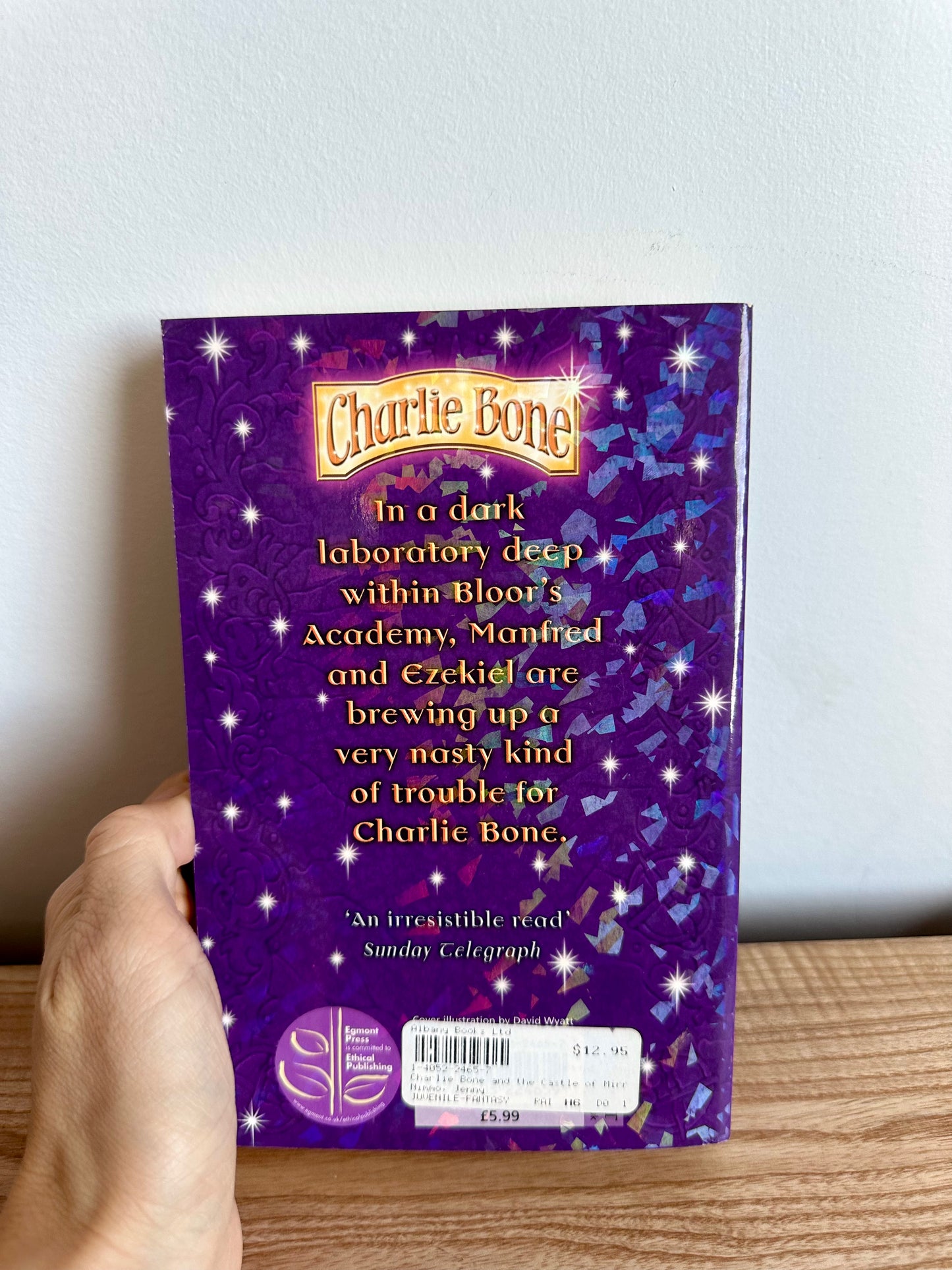 Charlie Bone and the Castle of Mirrors Book / 9-12 years