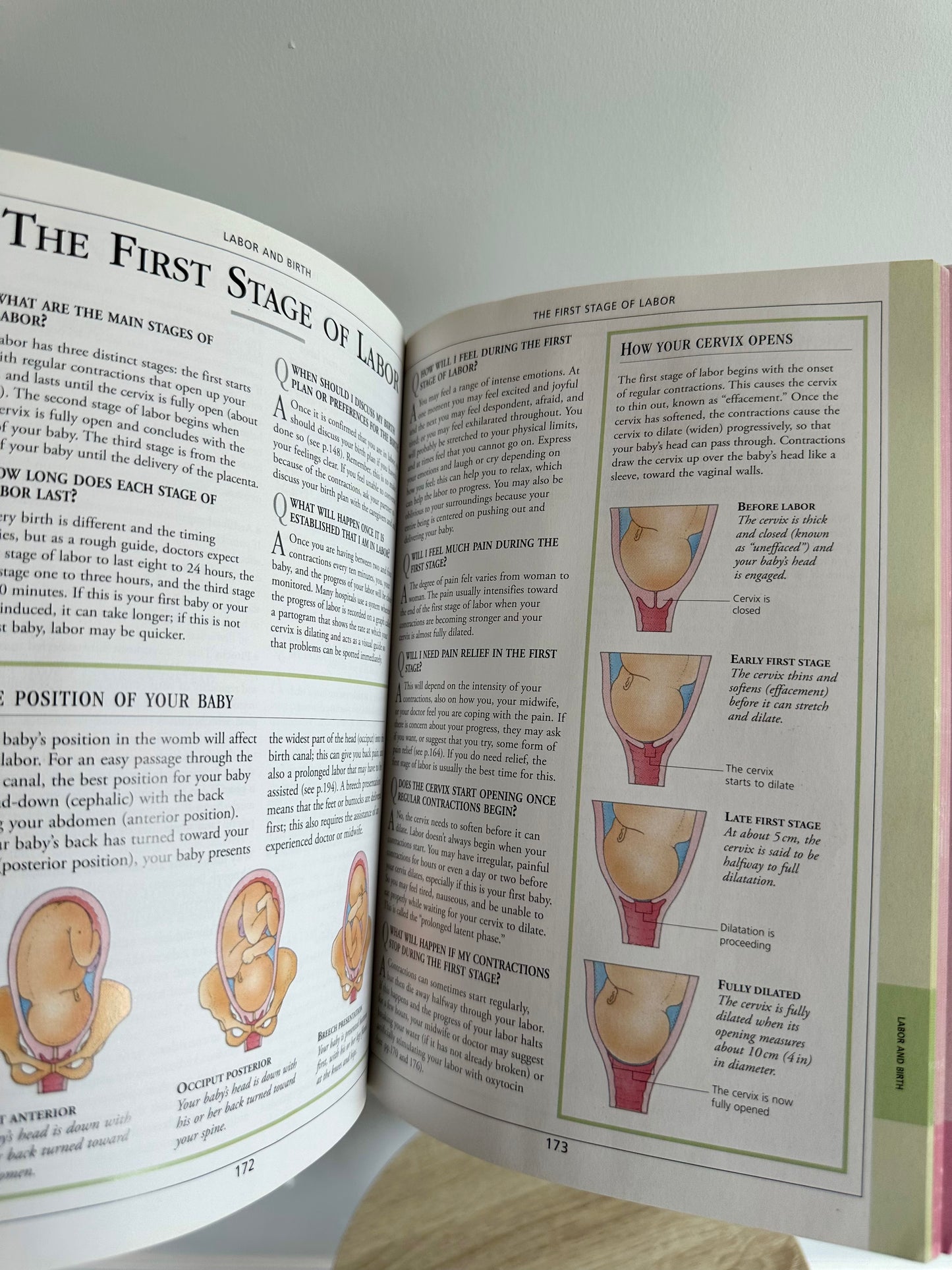 Pregnancy And Birth Book