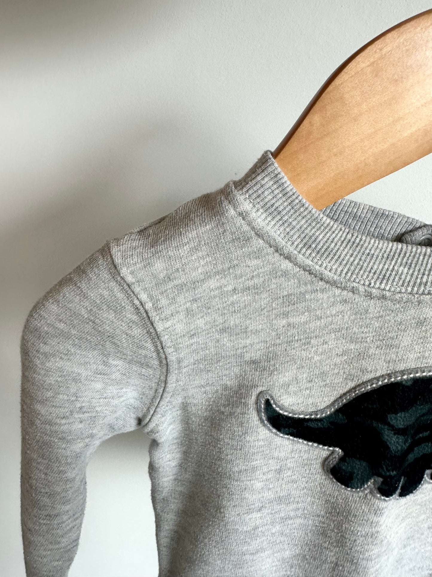 Grey Dino Crewneck / 6-12m