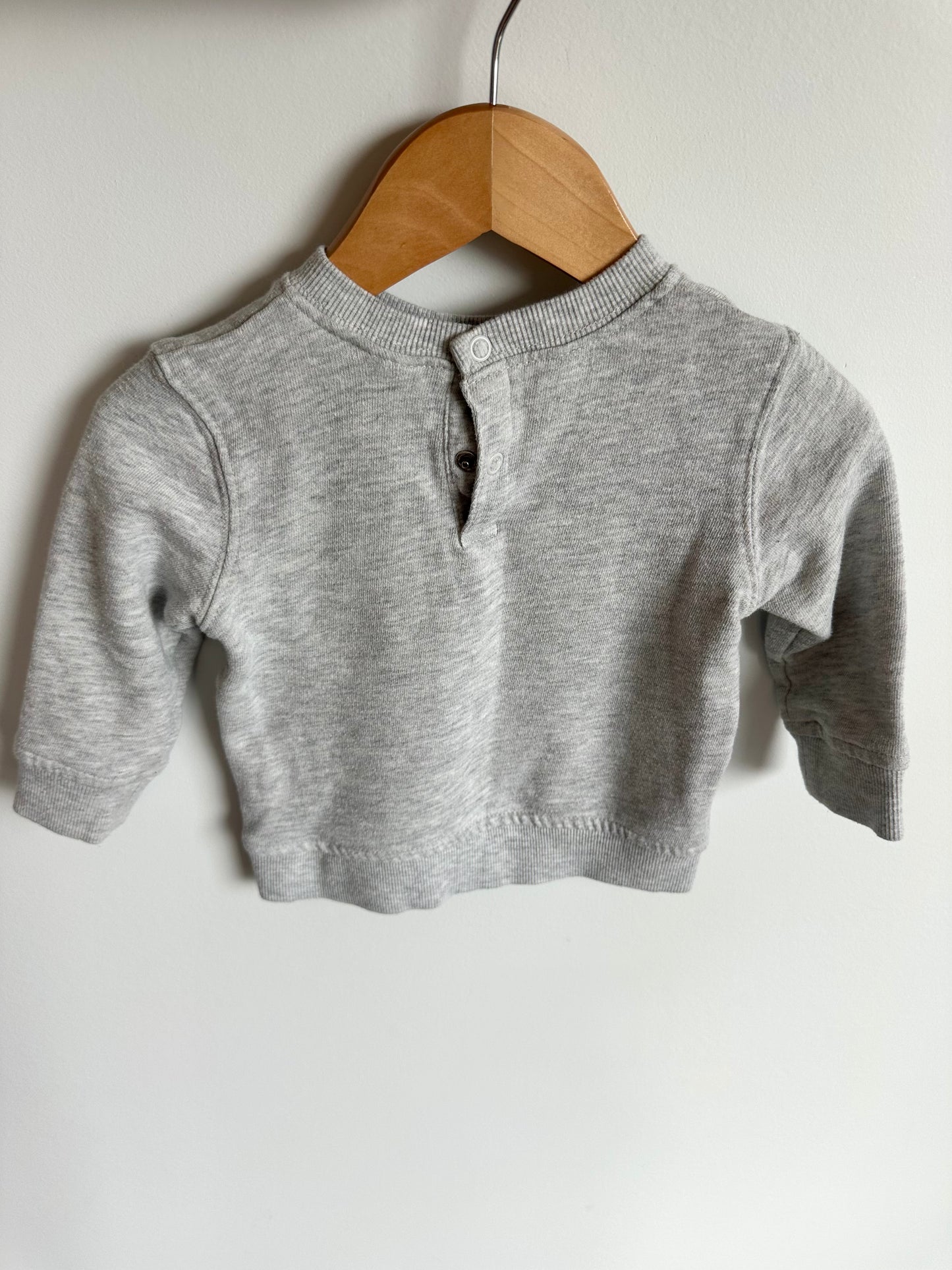 Grey Dino Crewneck / 6-12m