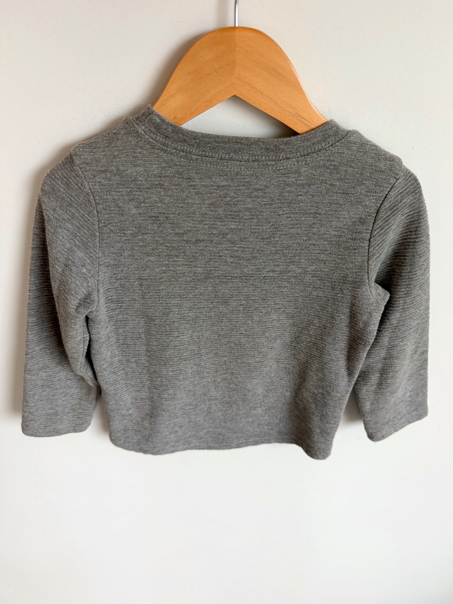 Grey Long Sleeve / 3T