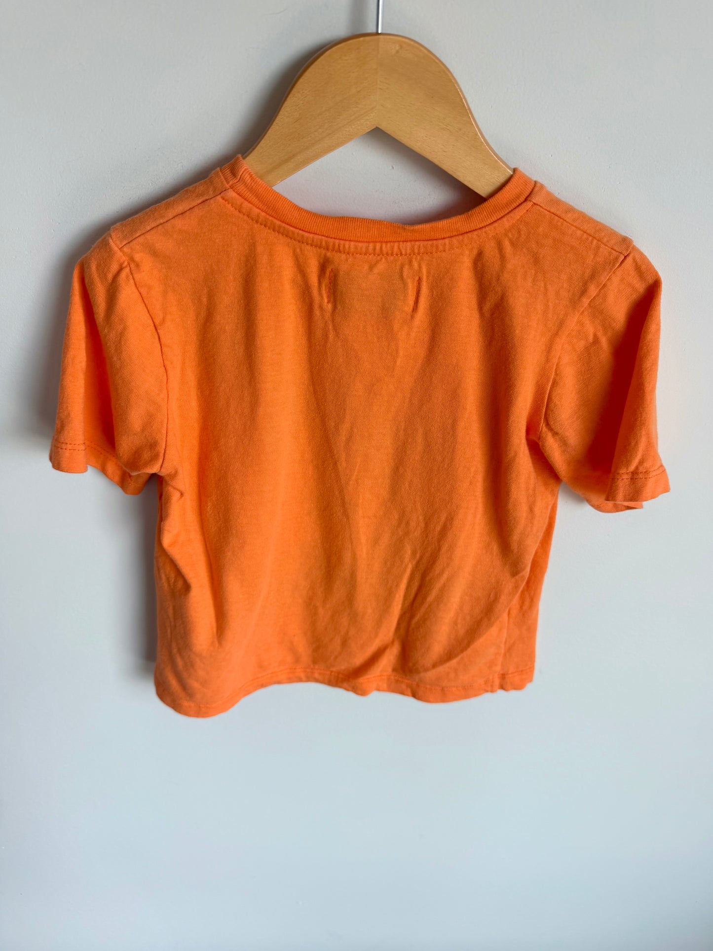 Tyrannosaurs Rex Orange Top / 5-6 years