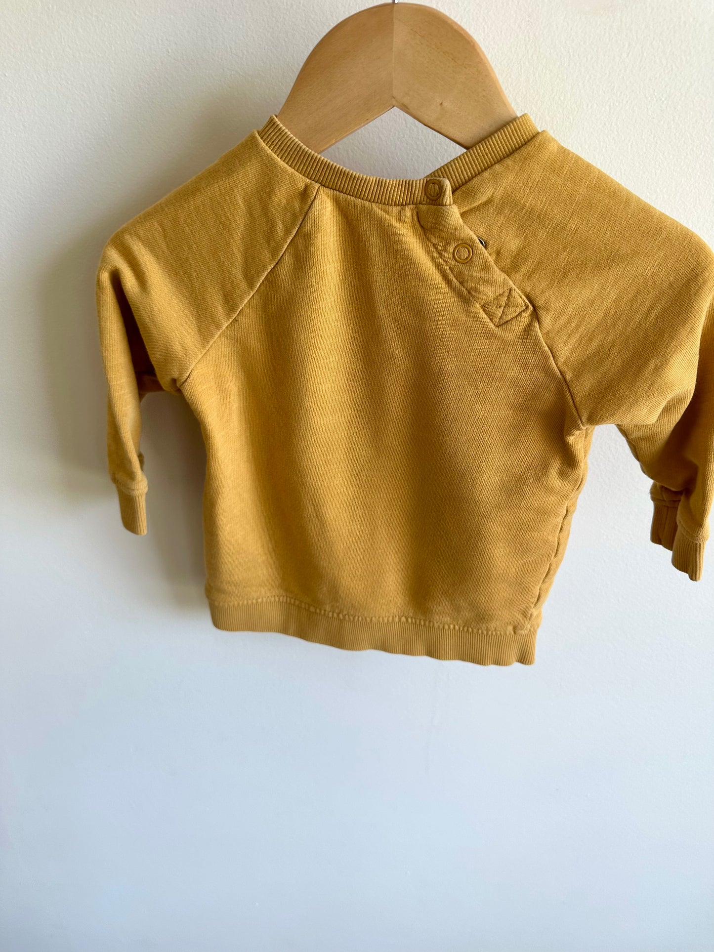 Bear Hood Blue Knit Sweater / 6-9m