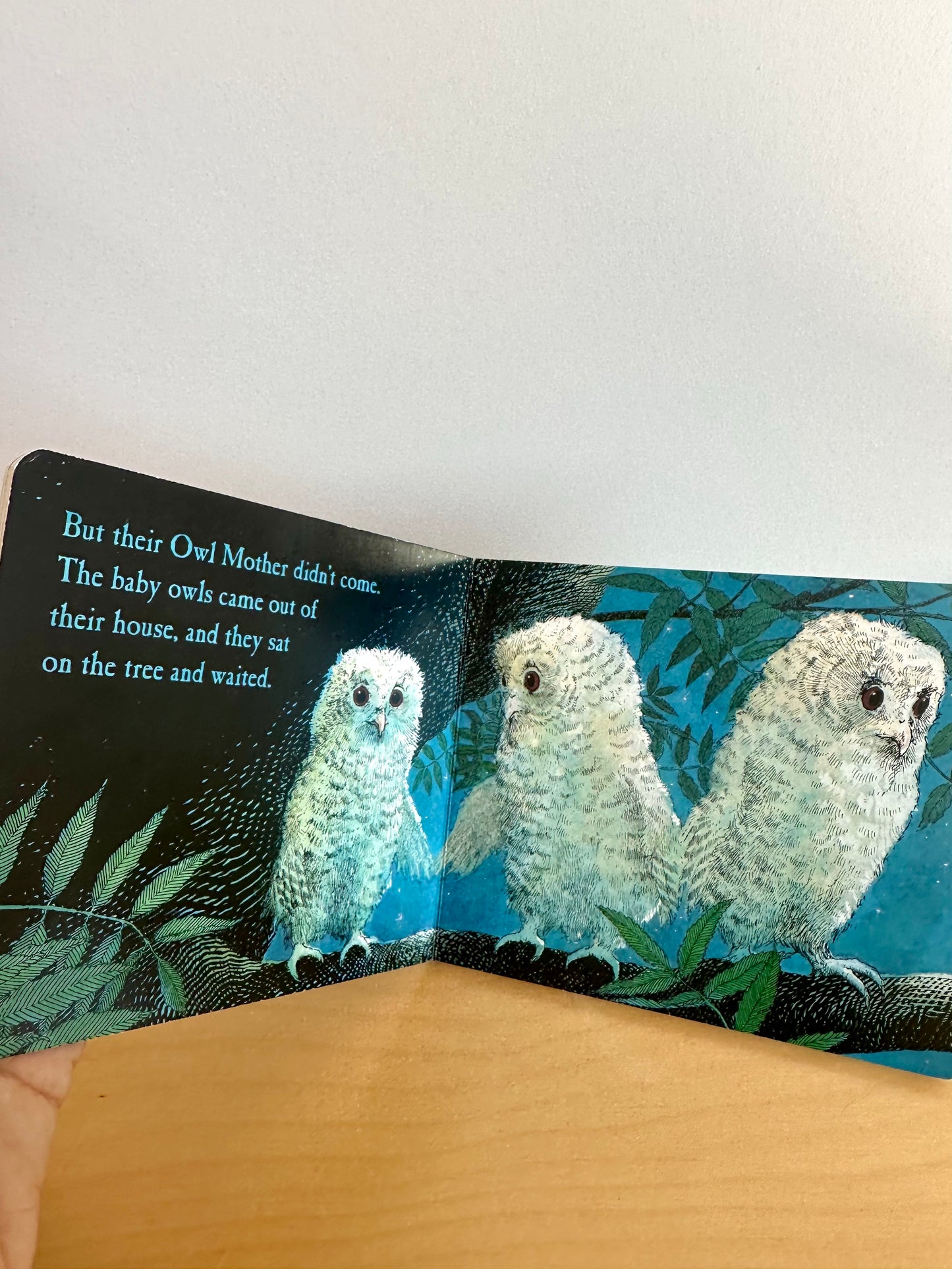 Owl Babies Board Book / 0-3 years