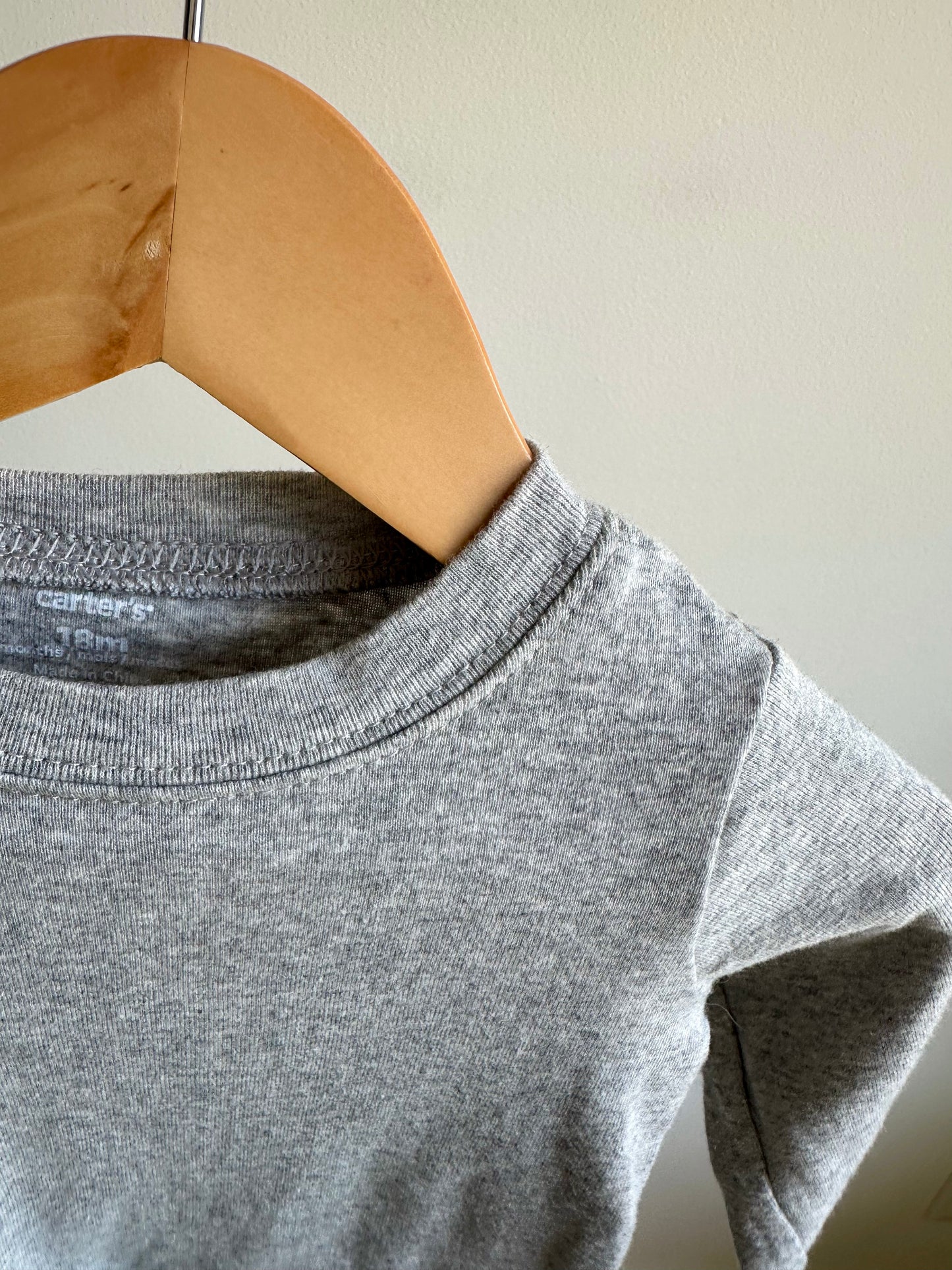 Grey Long Sleeve Top / 18m