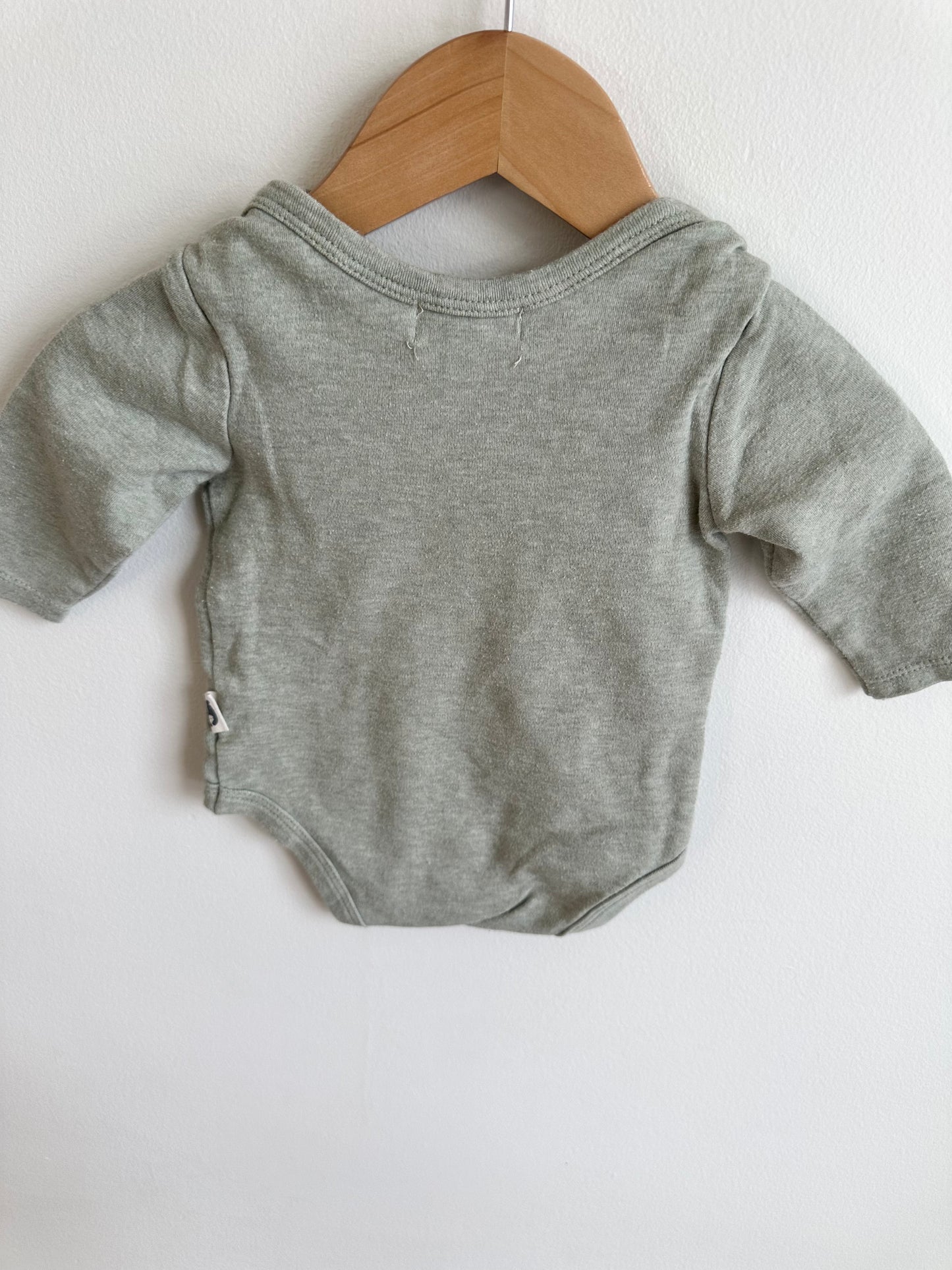 Set of 2 Organic Long Sleeve Bodysuits - Green + Pink / 6-9m