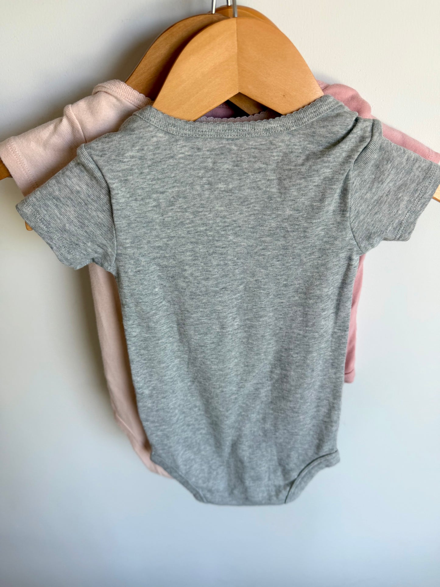 Set of 3 Short Sleeve Bodysuits / 18m