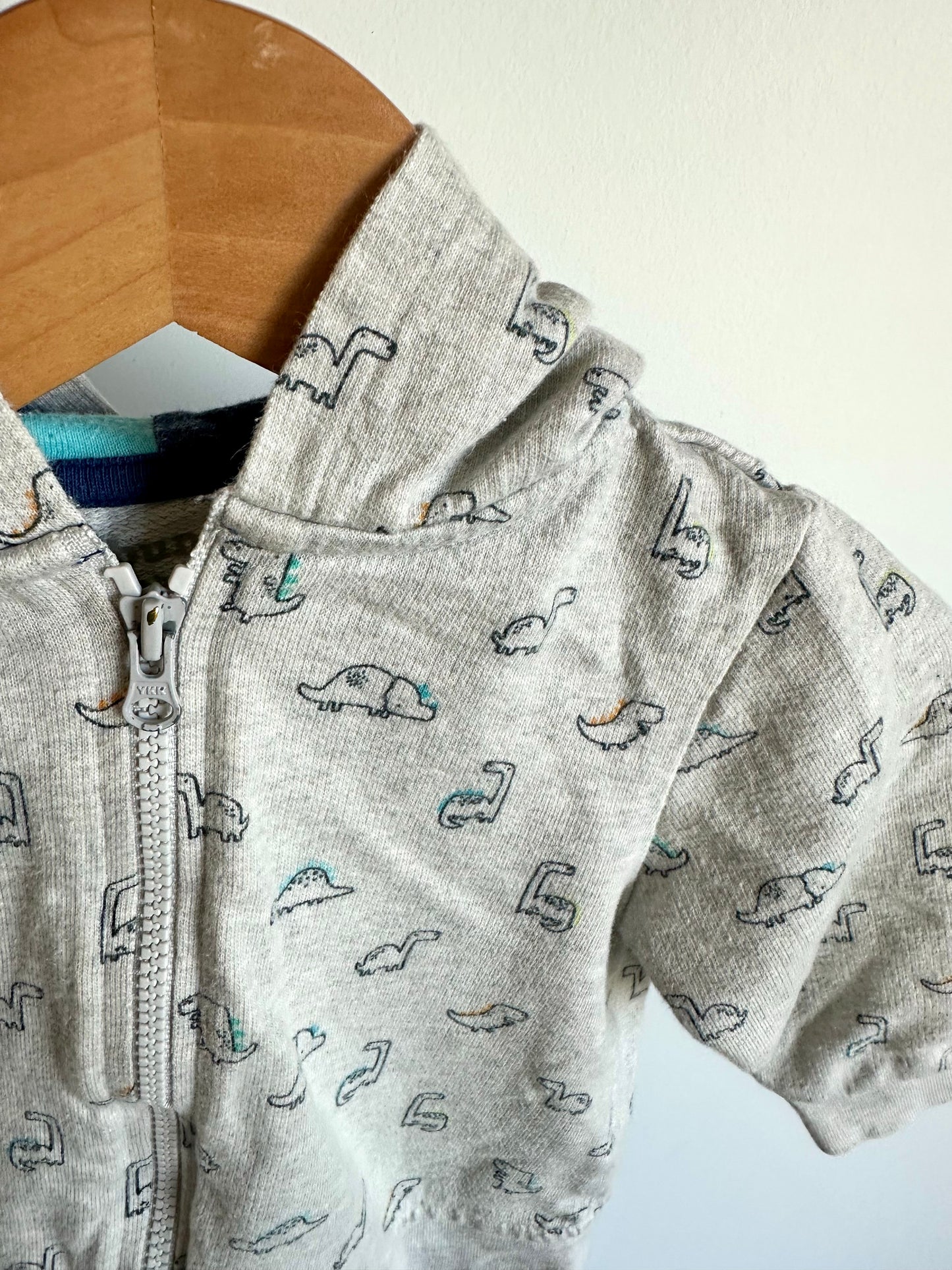 Dino Pattern Hoodie / 9-12m
