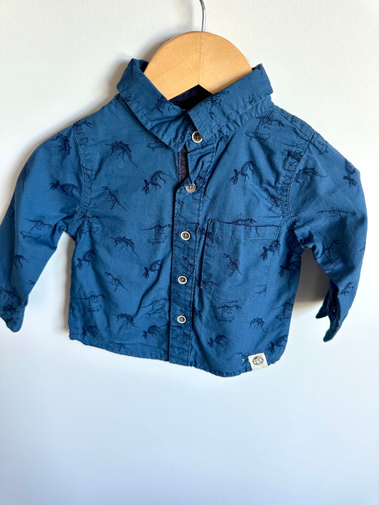 Blue Dino Bones Button Up Top / 12m