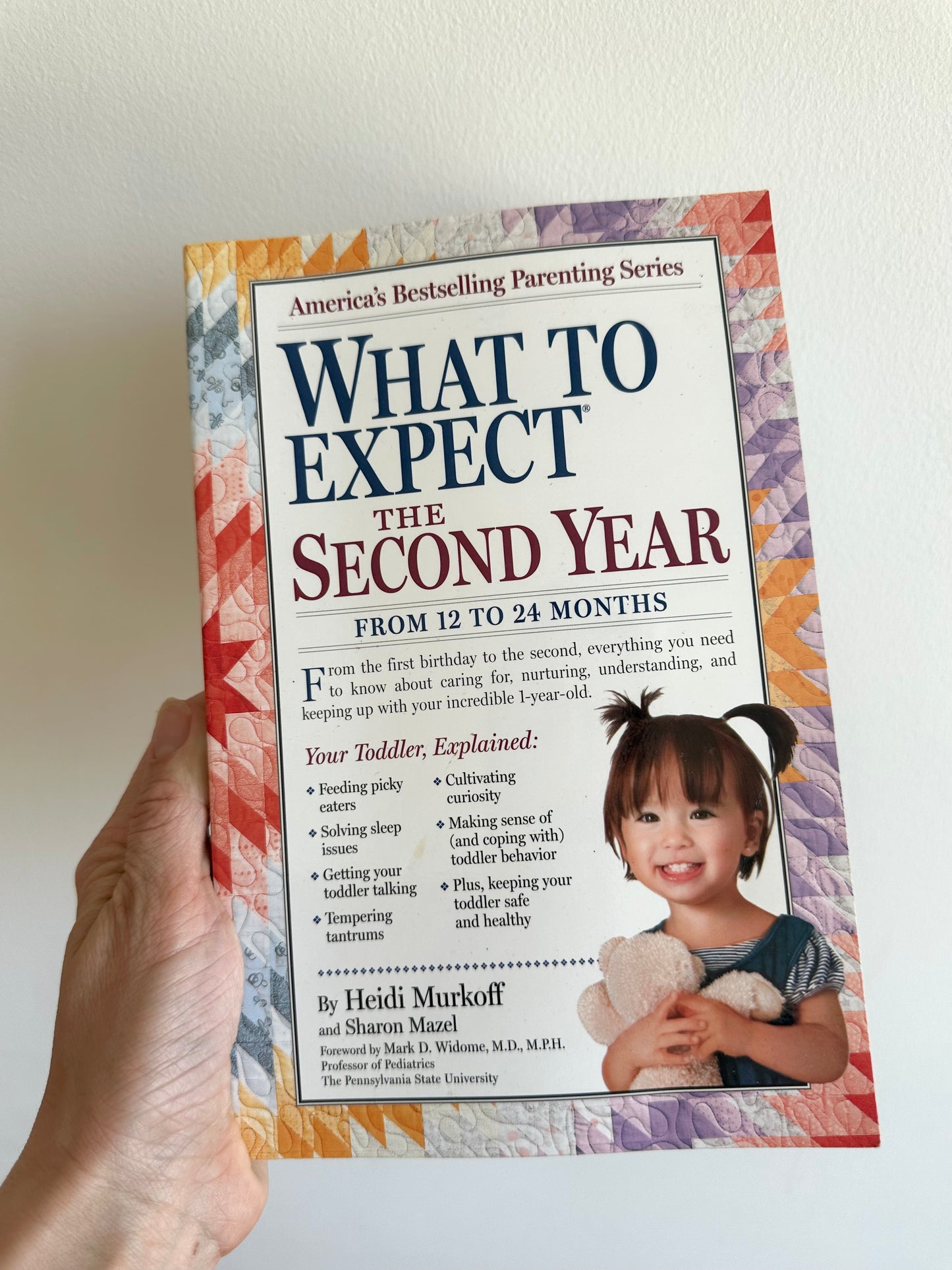What To Expect The Second Year Book