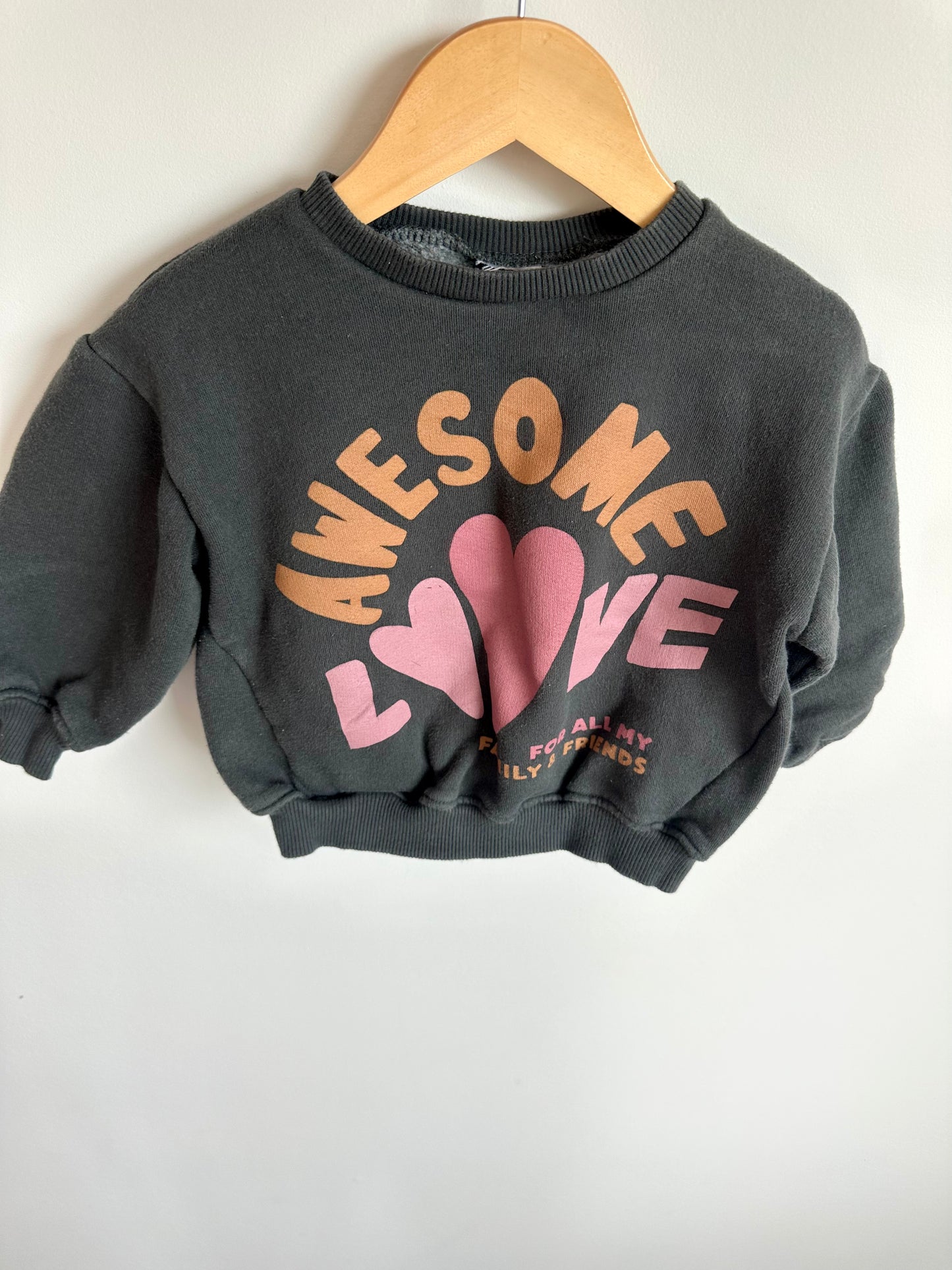 Awesome Sweater / 9-12m?