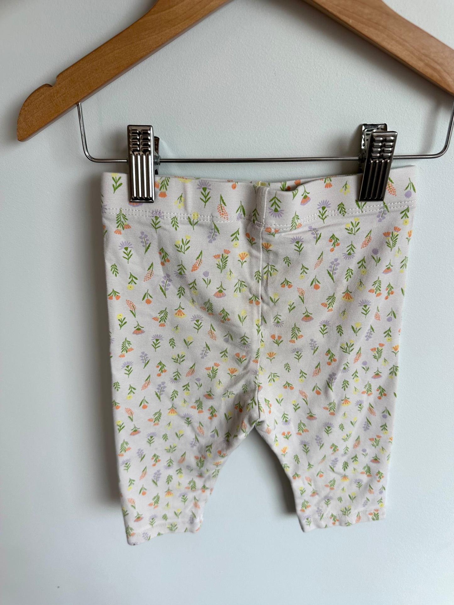 Cream Green Stem Plants / 18-24m