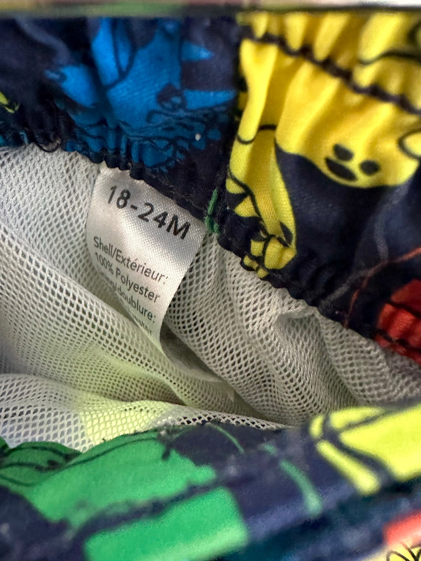 Dino Colorful Swim Bottoms / 18-24m