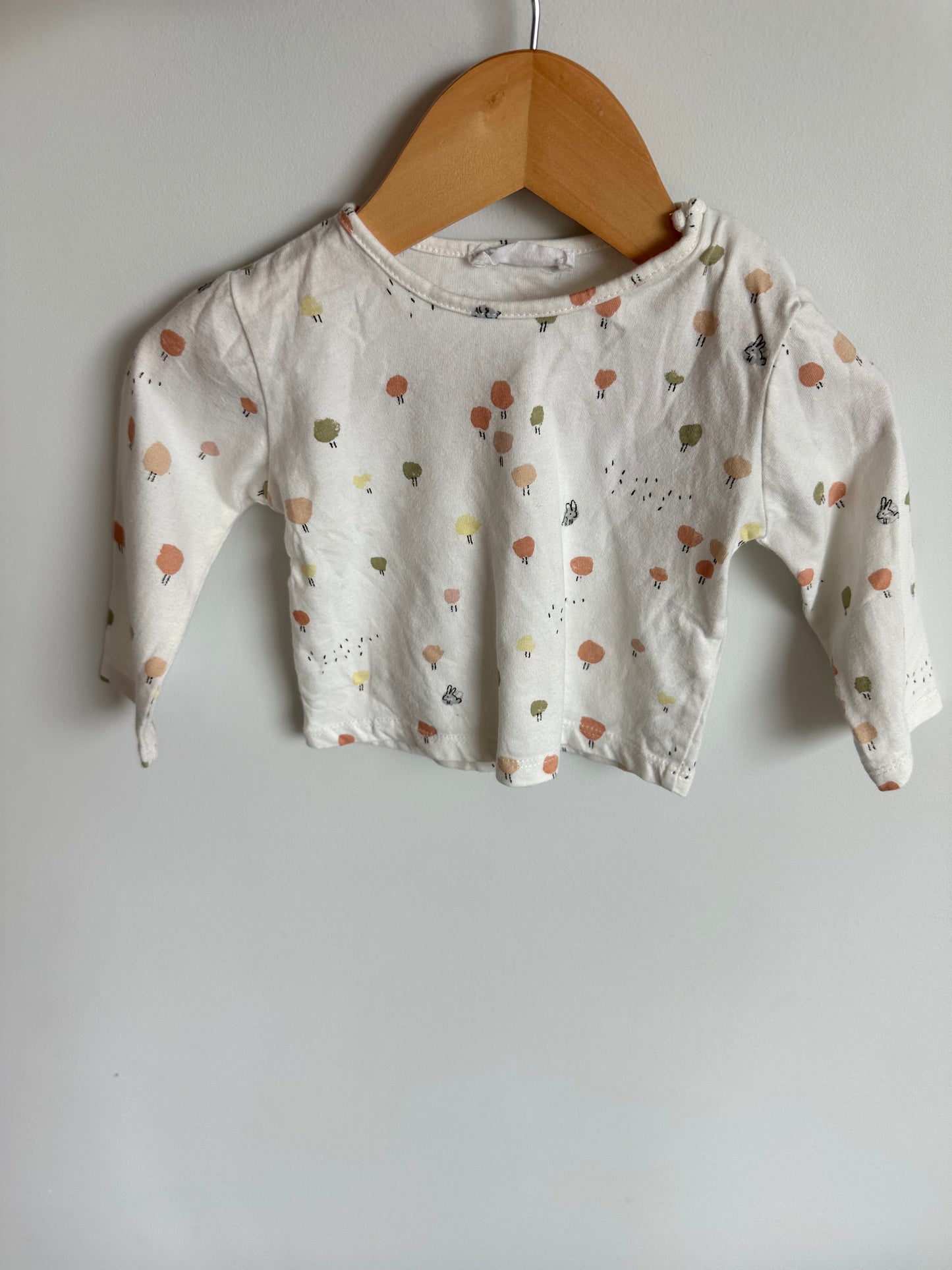 Zara Bunny Long Sleeve / 9-12m