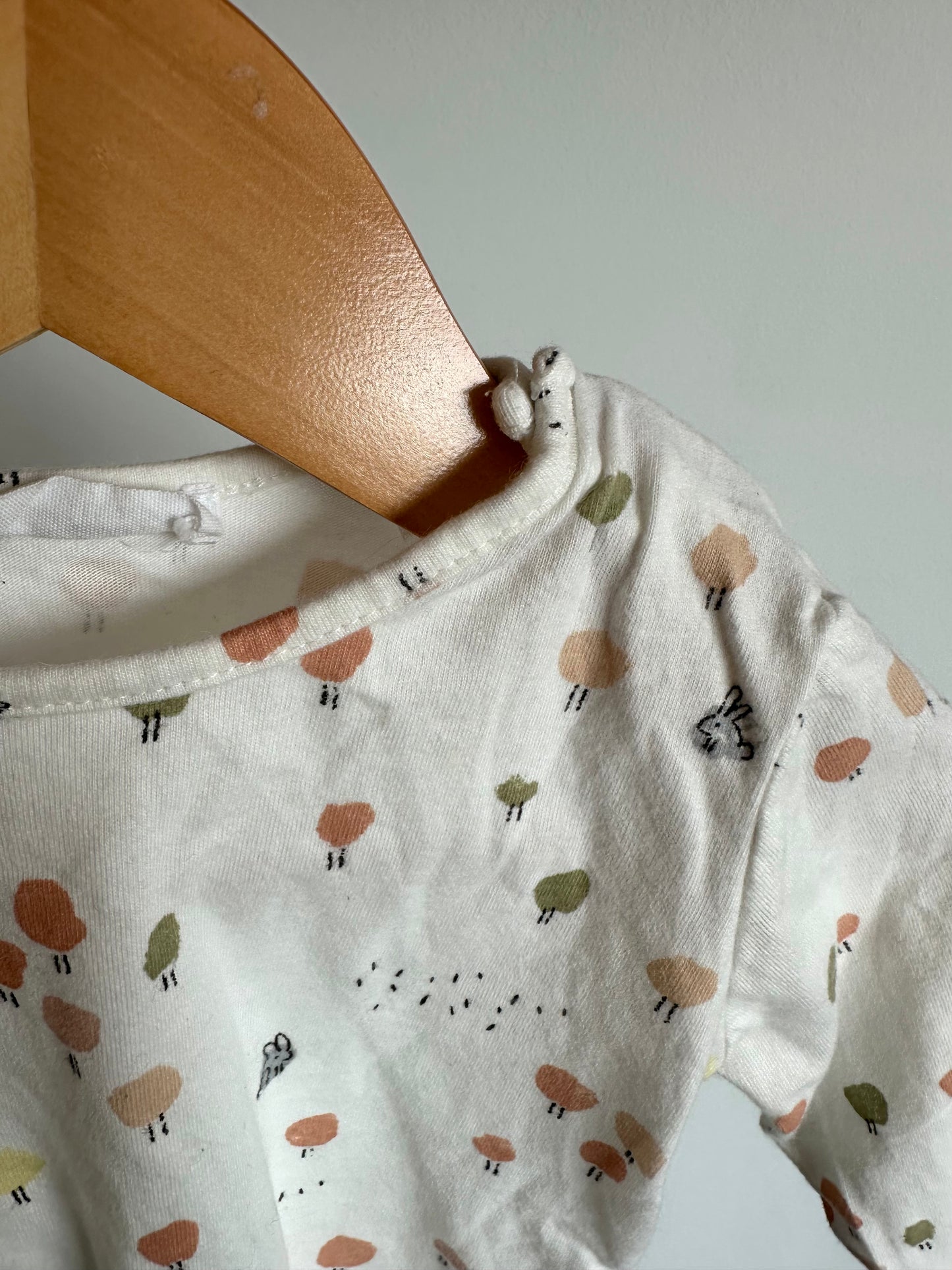 Zara Bunny Long Sleeve / 9-12m