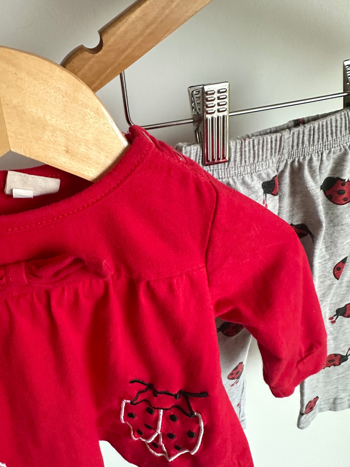 Ladybug Top + Pants Set / 0-3m