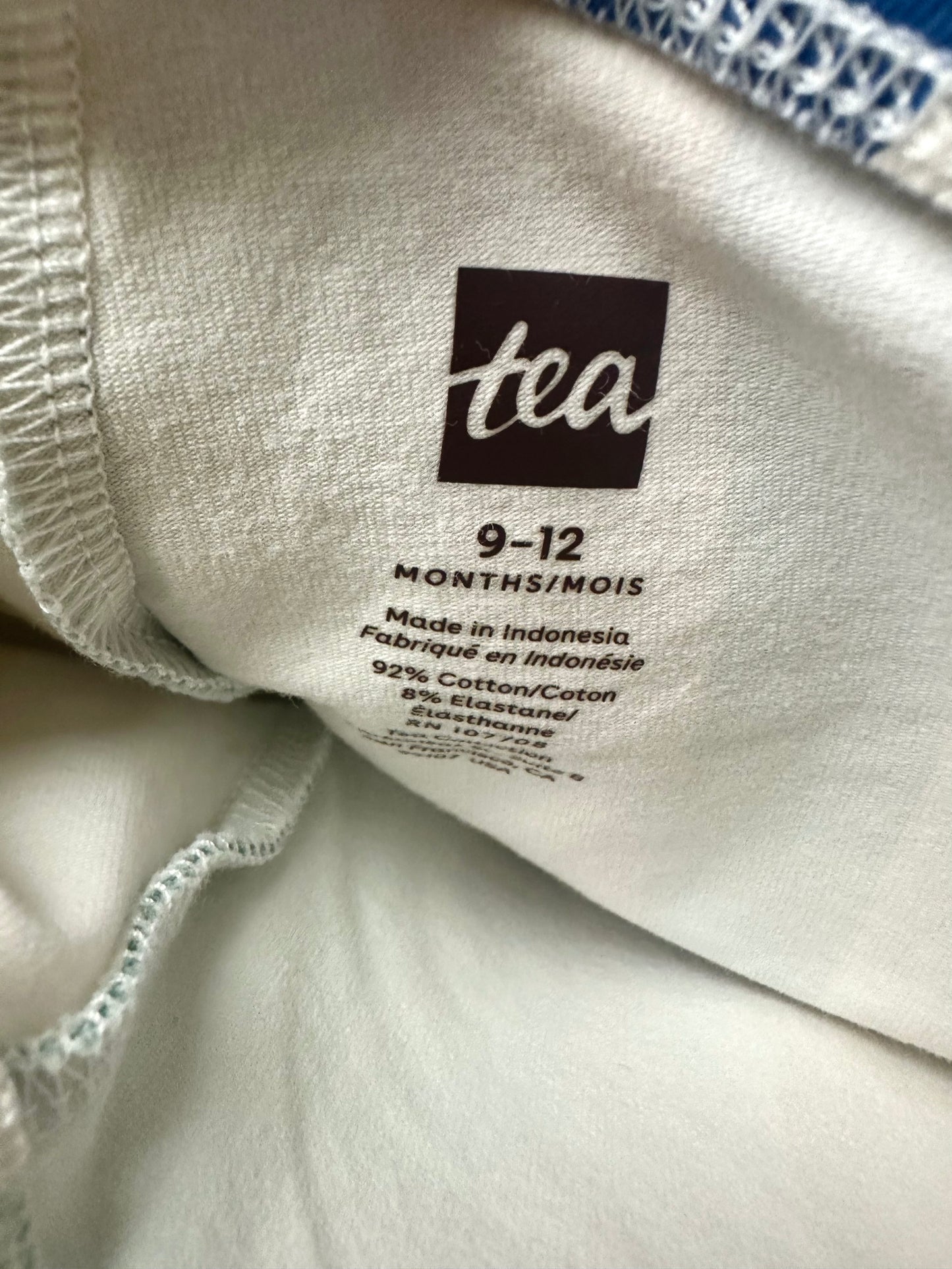 Tea Collection Color Strip Leggings / 9-12m