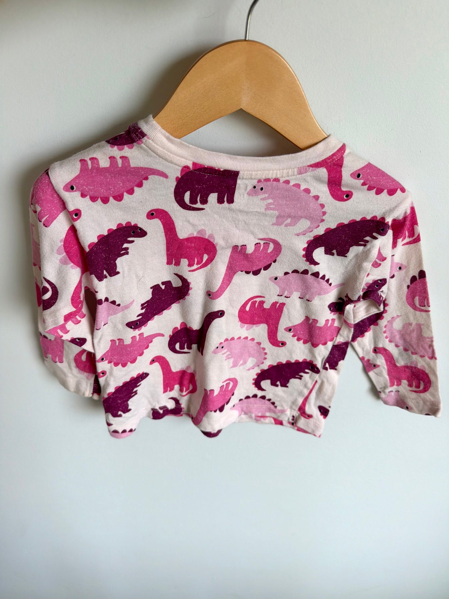 Pink Dinosaur Top / 2T