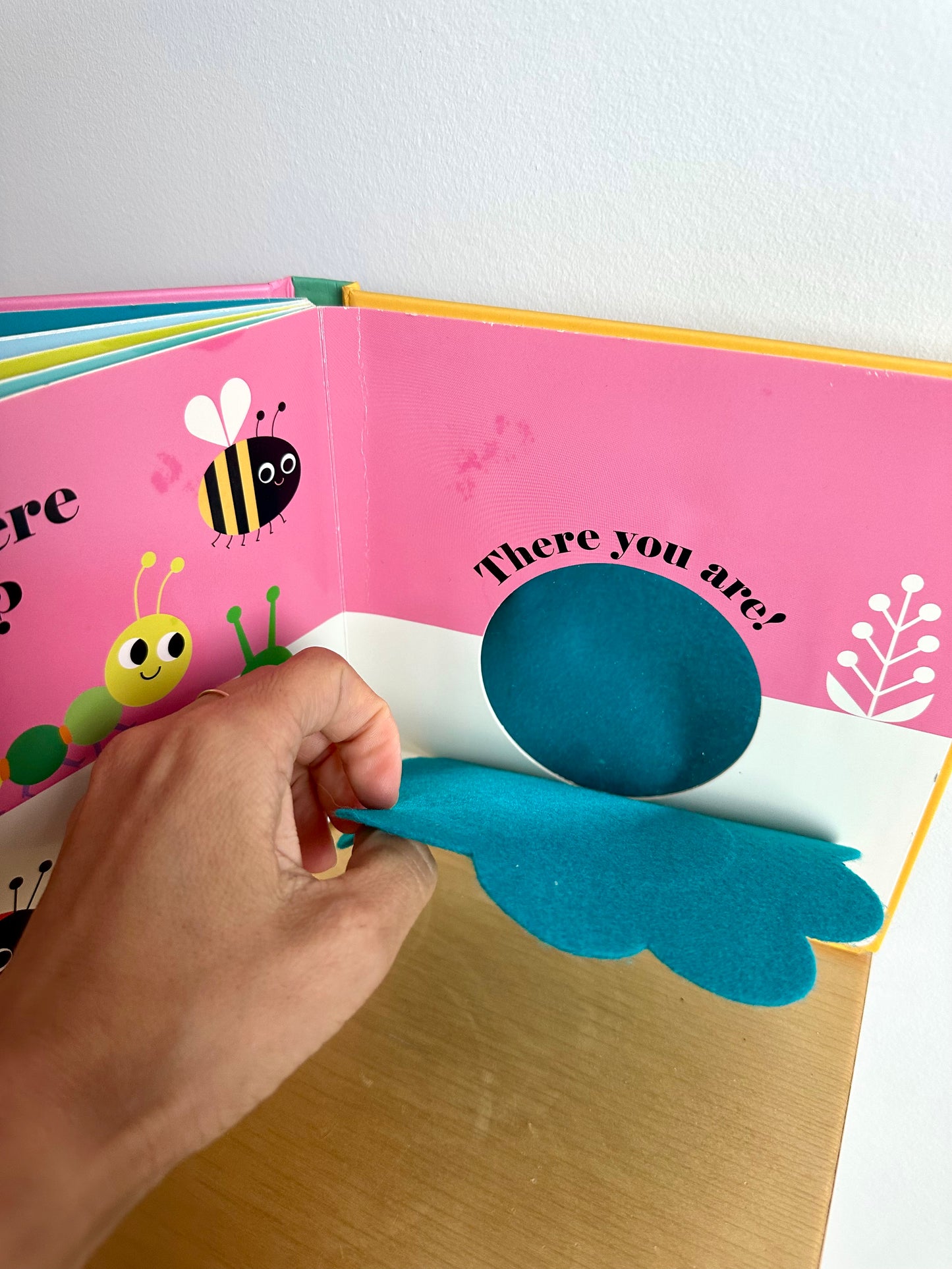 Where's The Ladybug Book / 0-2 years