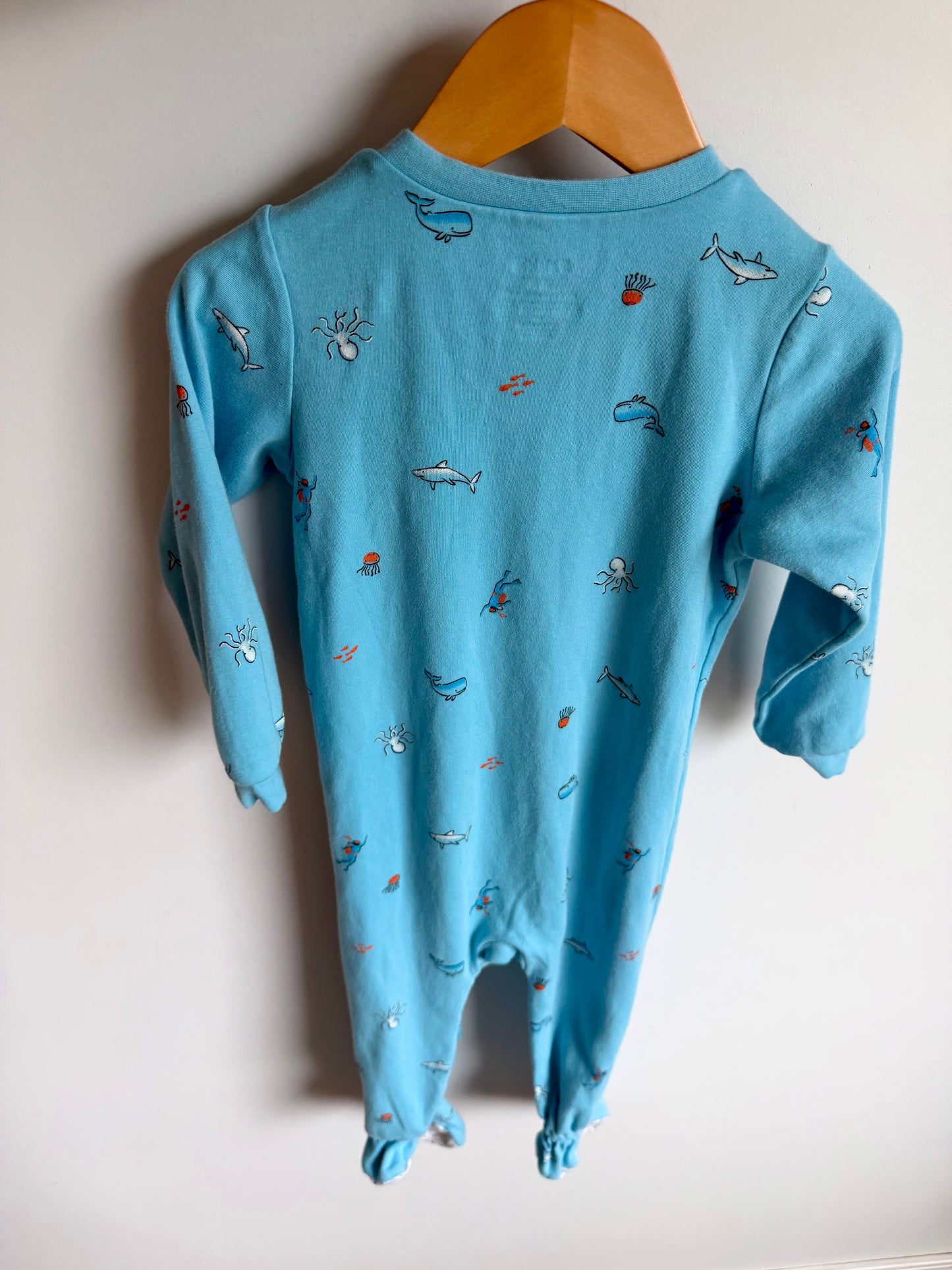 Crab Ocean Sleeper / 24m