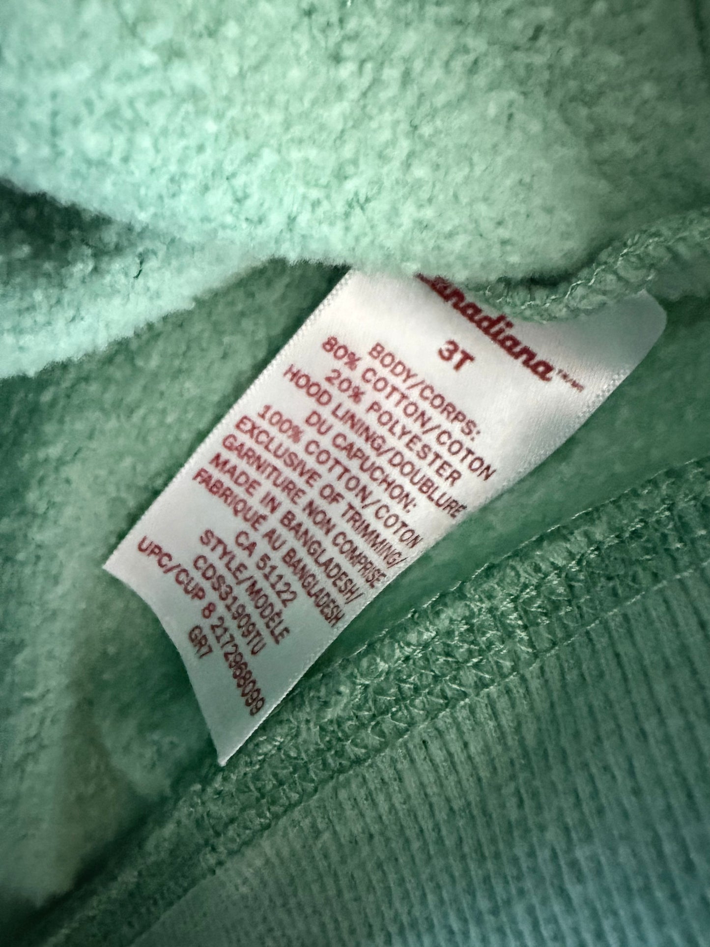 Canada Pistachio Hoodie / 3T