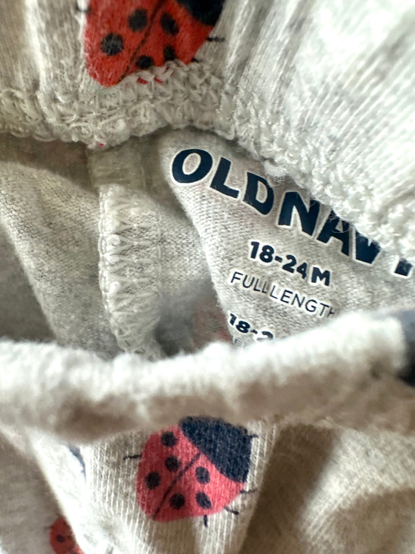 Ladybug Grey Pants / 18-24m