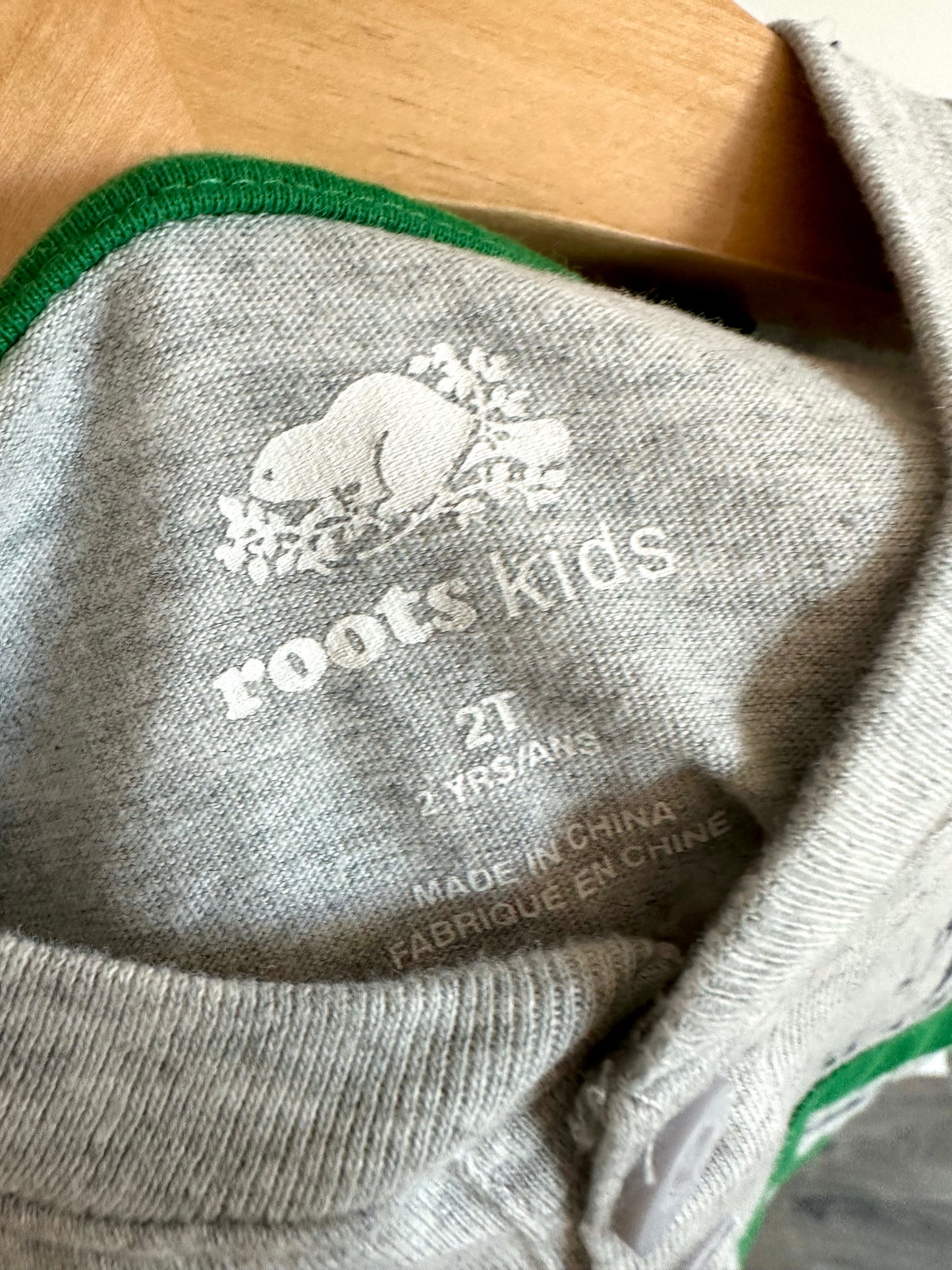 Roots Green + Blue Striped Long Sleeve / 2T