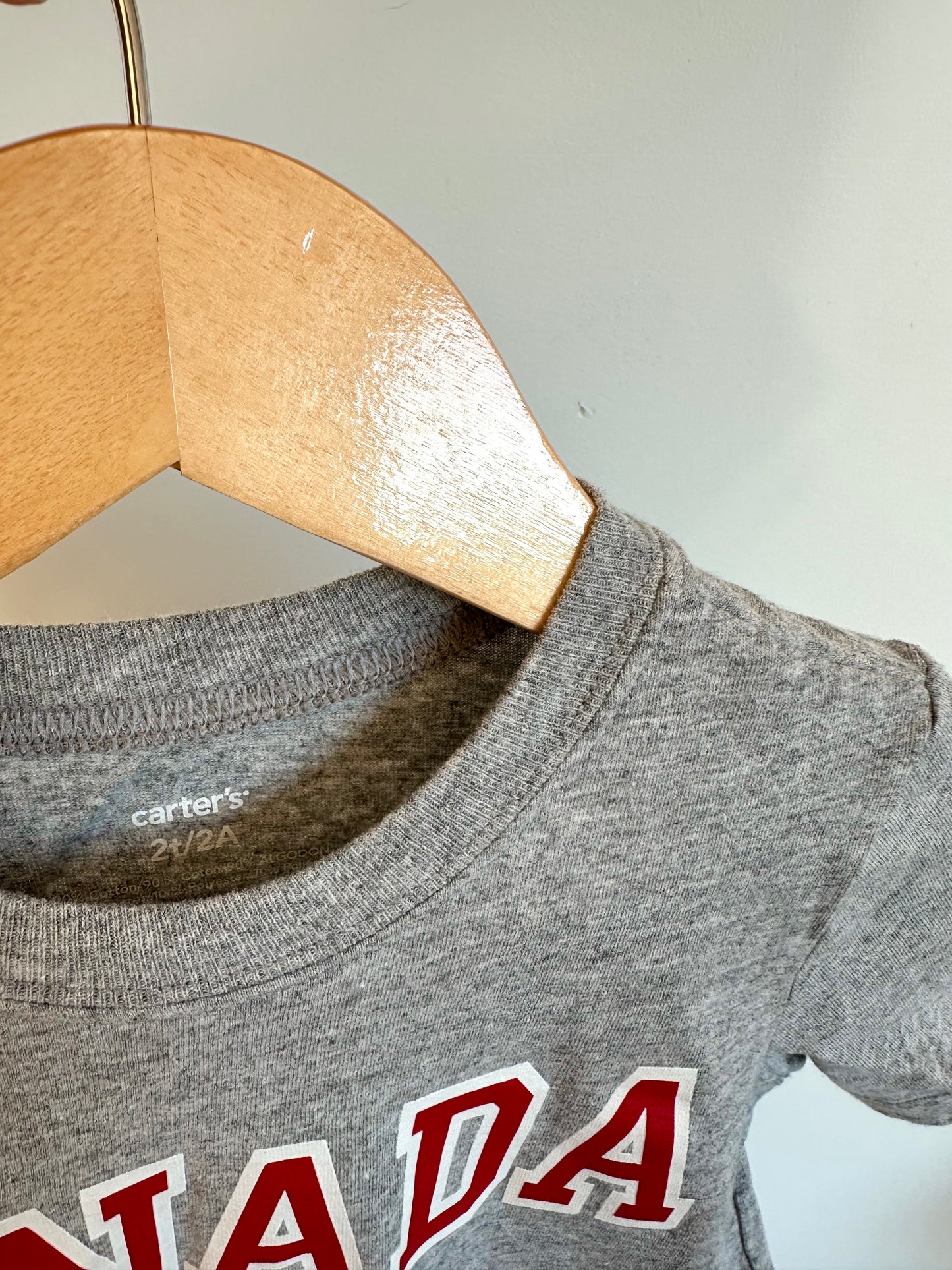 Grey Canada T-shirt / 2T