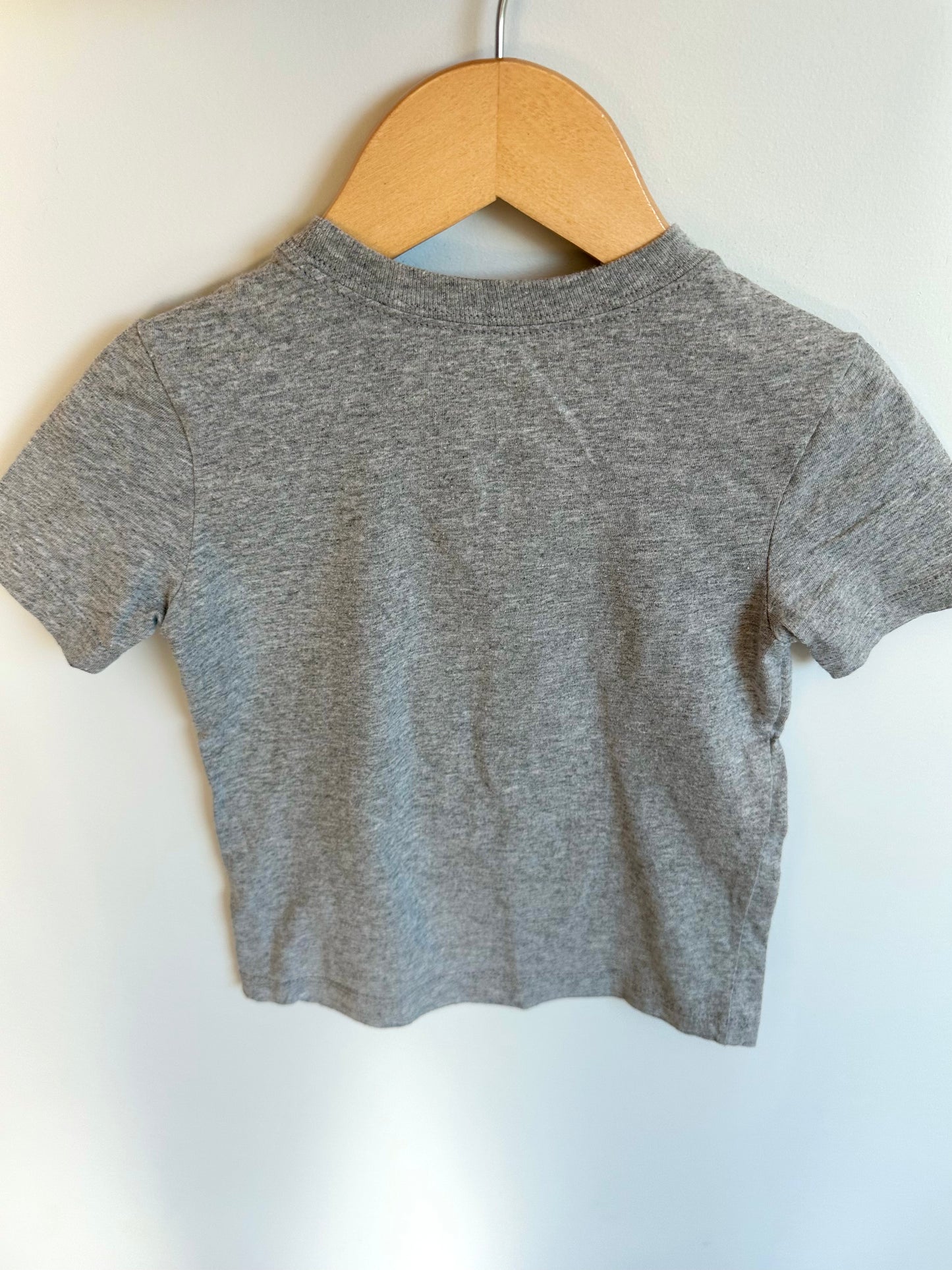 Grey Canada T-shirt / 2T