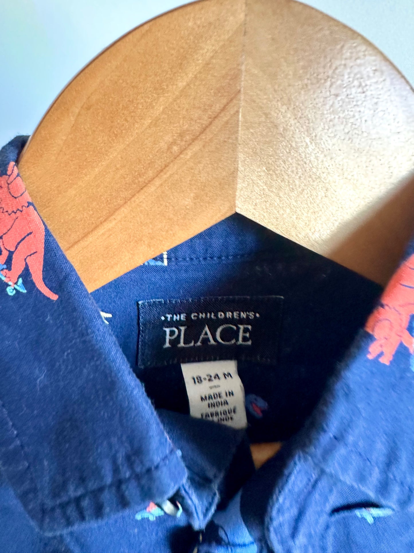 Dino Boarding Collared Button Up T-Shirt / 18-24m