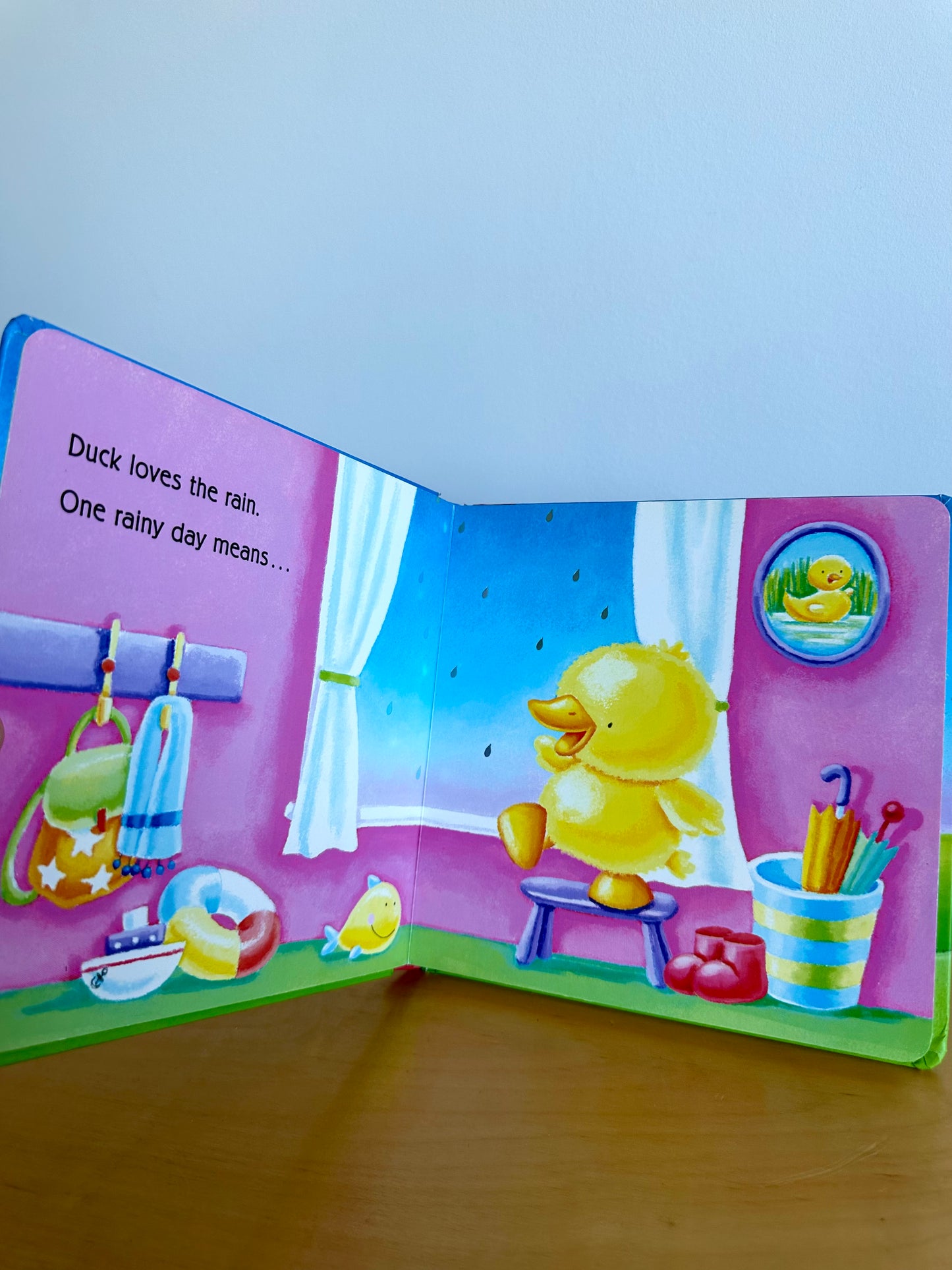 One Rainy Day Book / 0-2 years (No Shipping)